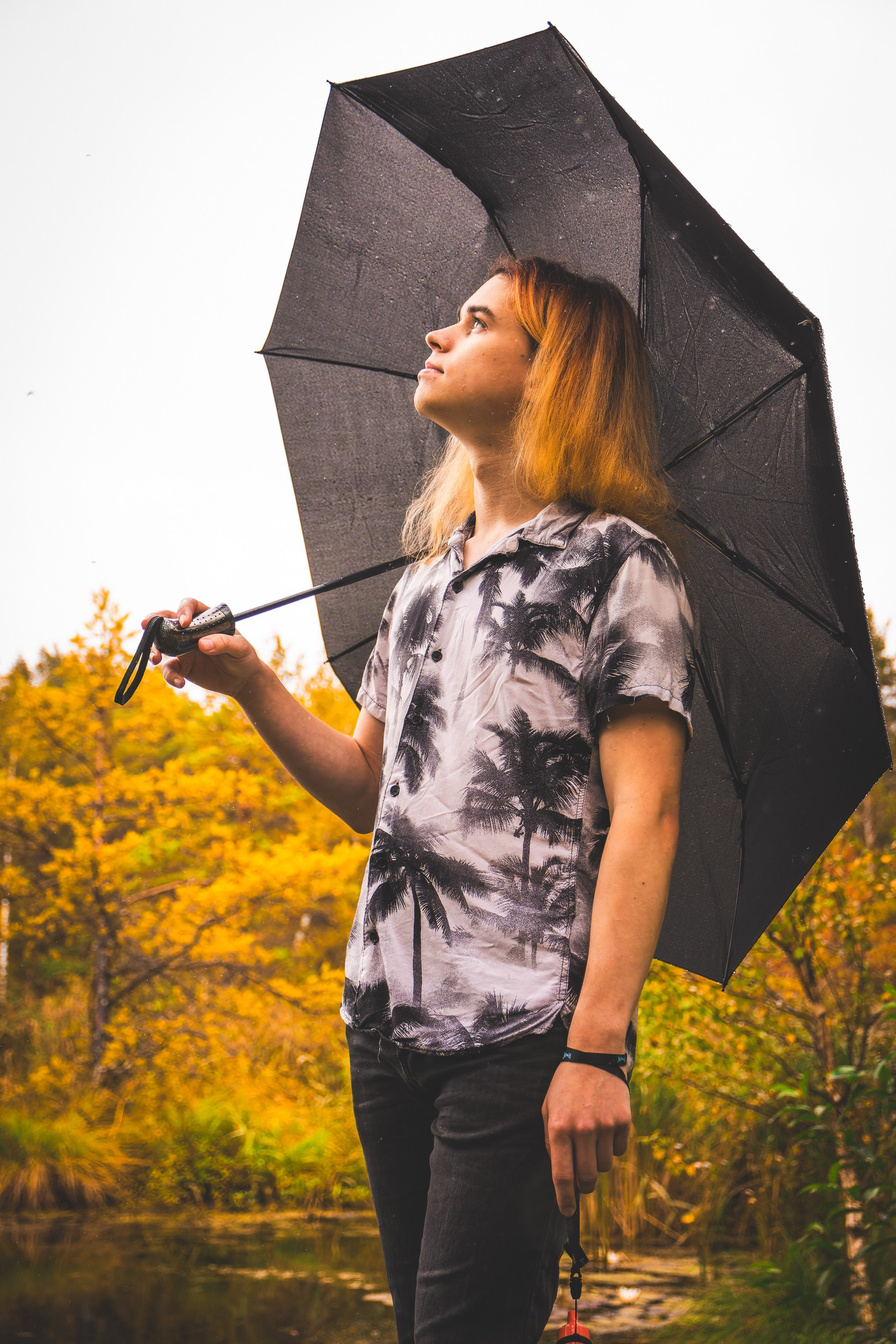 Nebula 25 — Fotod teie hingele