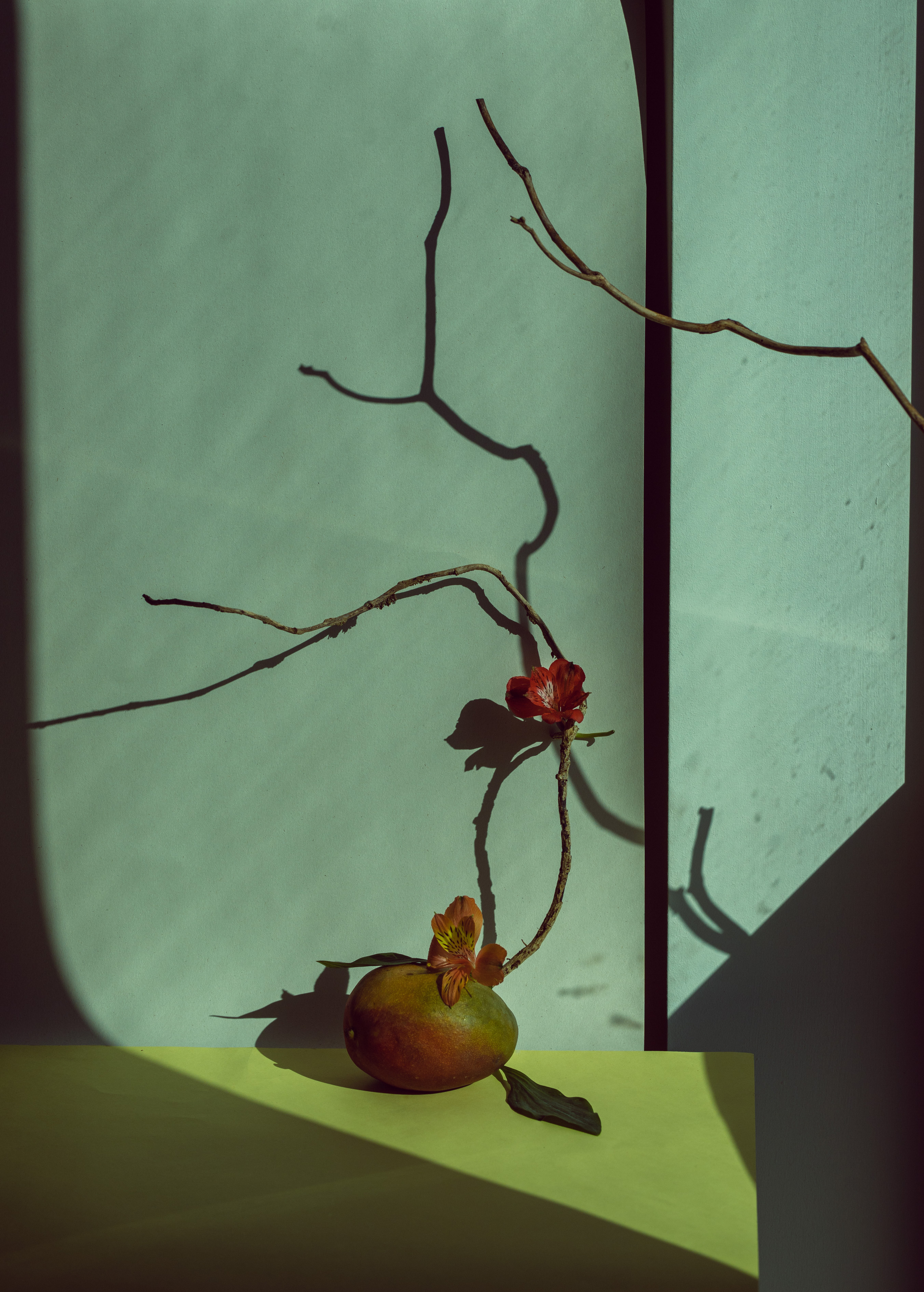 Mango frukebana contemporary still life inspired by ikebana