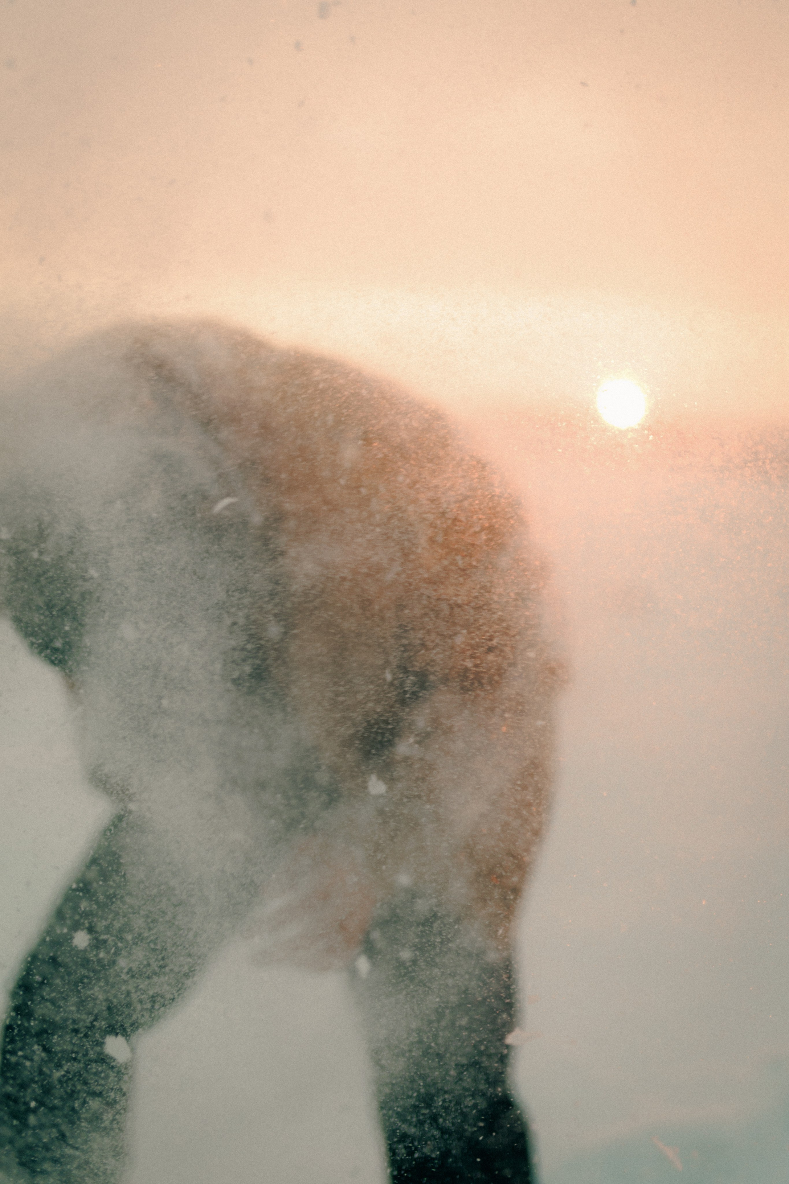 Snowy. Wedding photographer and videographer based in Timisoara, Romania