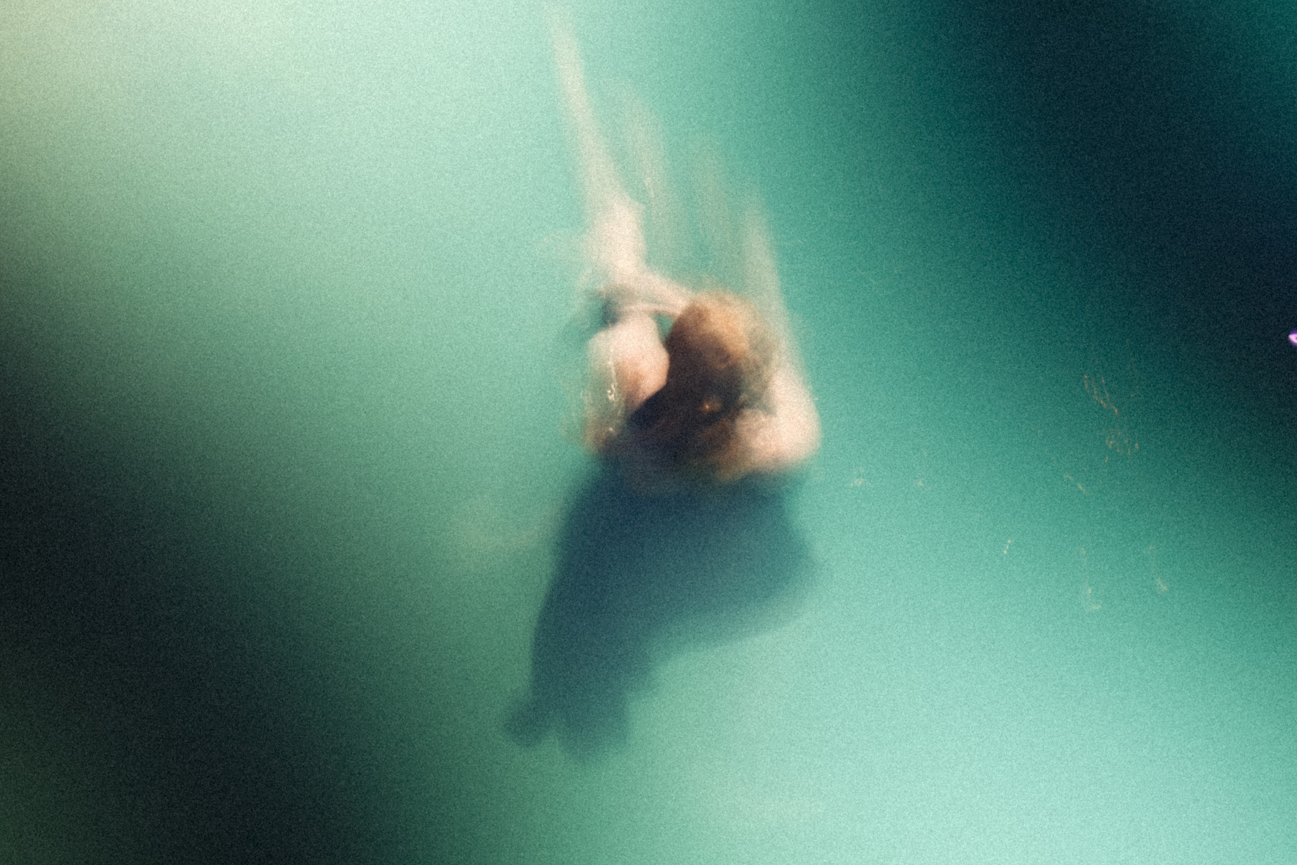 Stills from a Movie That Never Existed — Conceptual Photography by Marina Kálcheva. Marina Kálcheva — Photographer, Videographer & Visual Artist in Barcelona