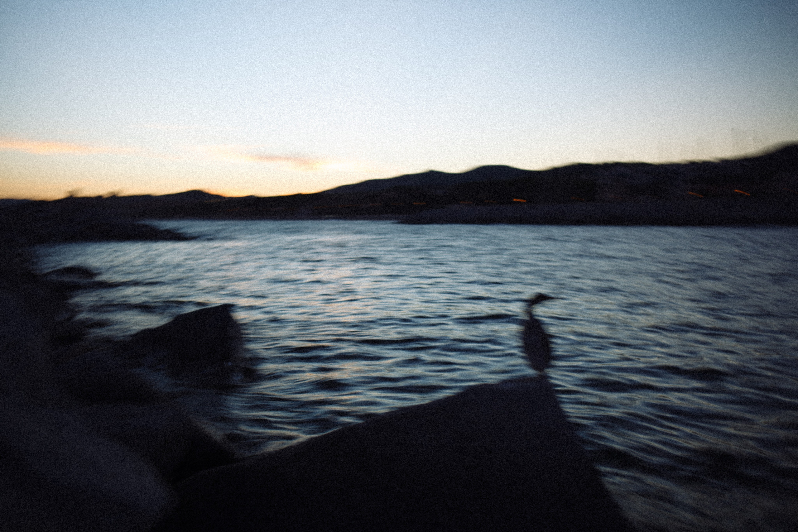 Stills from a Movie That Never Existed — Conceptual Photography by Marina Kálcheva. Marina Kálcheva — Photographer, Videographer & Visual Artist in Barcelona