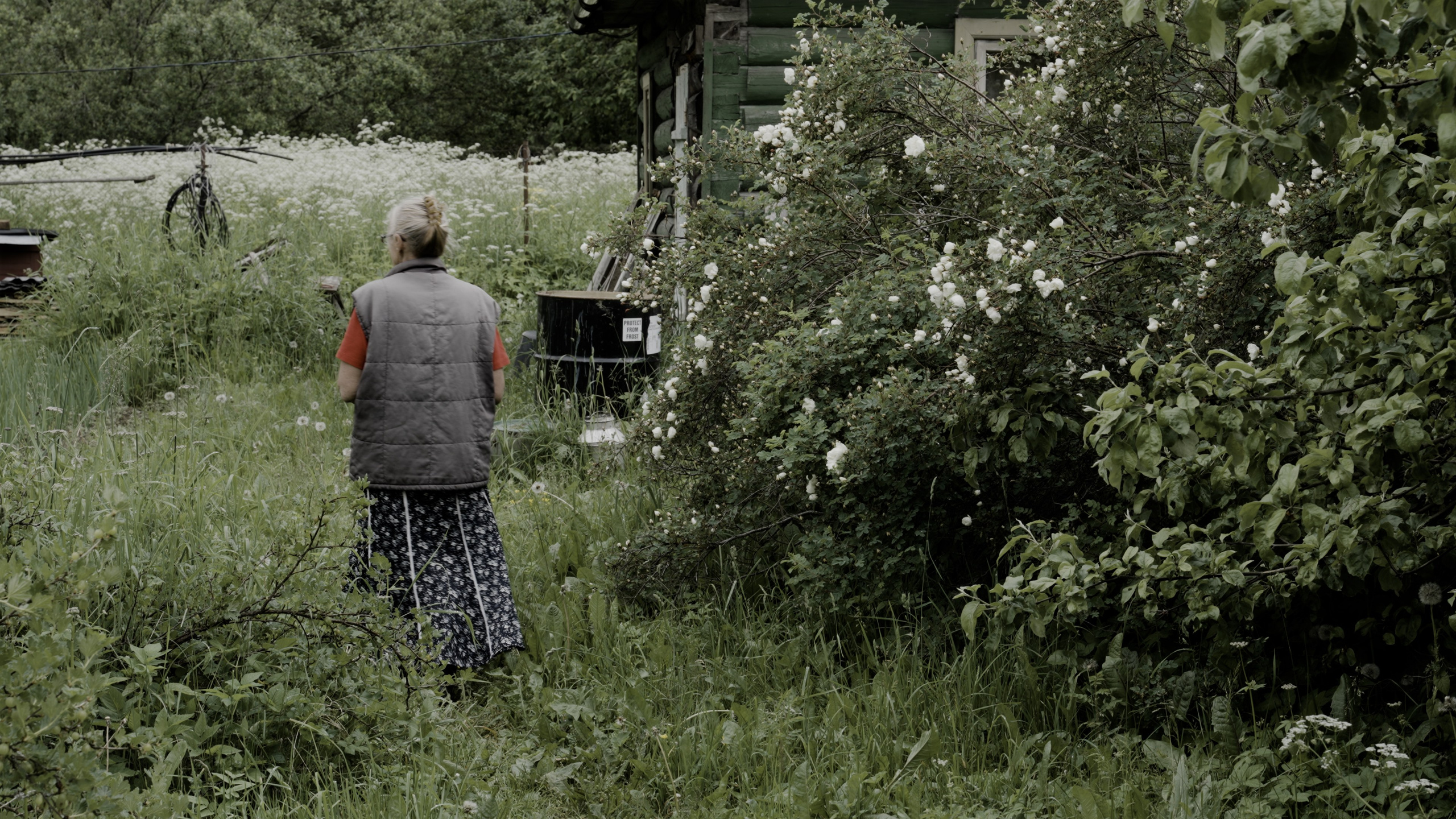 Wait and See. Tatiana Kireicheva