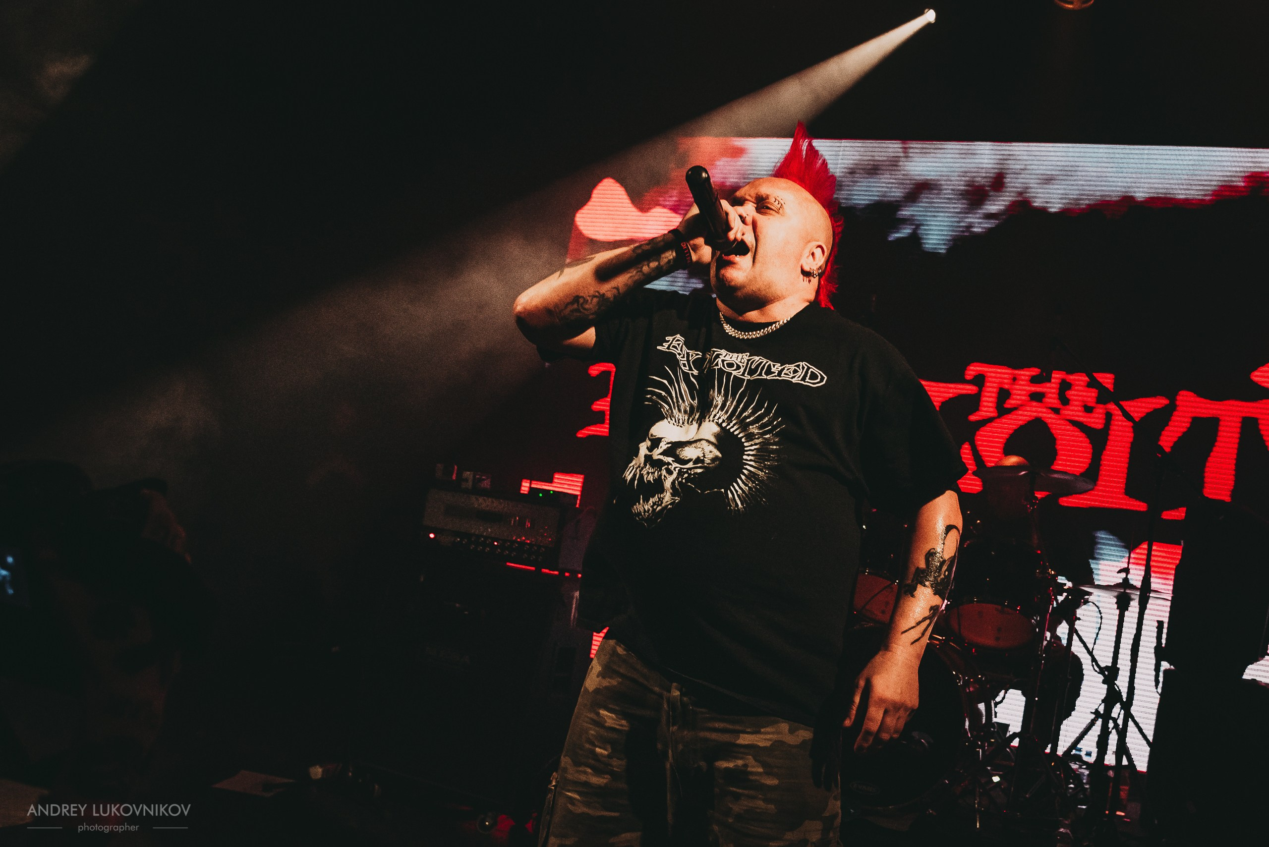 The Exploited. Tour 2017