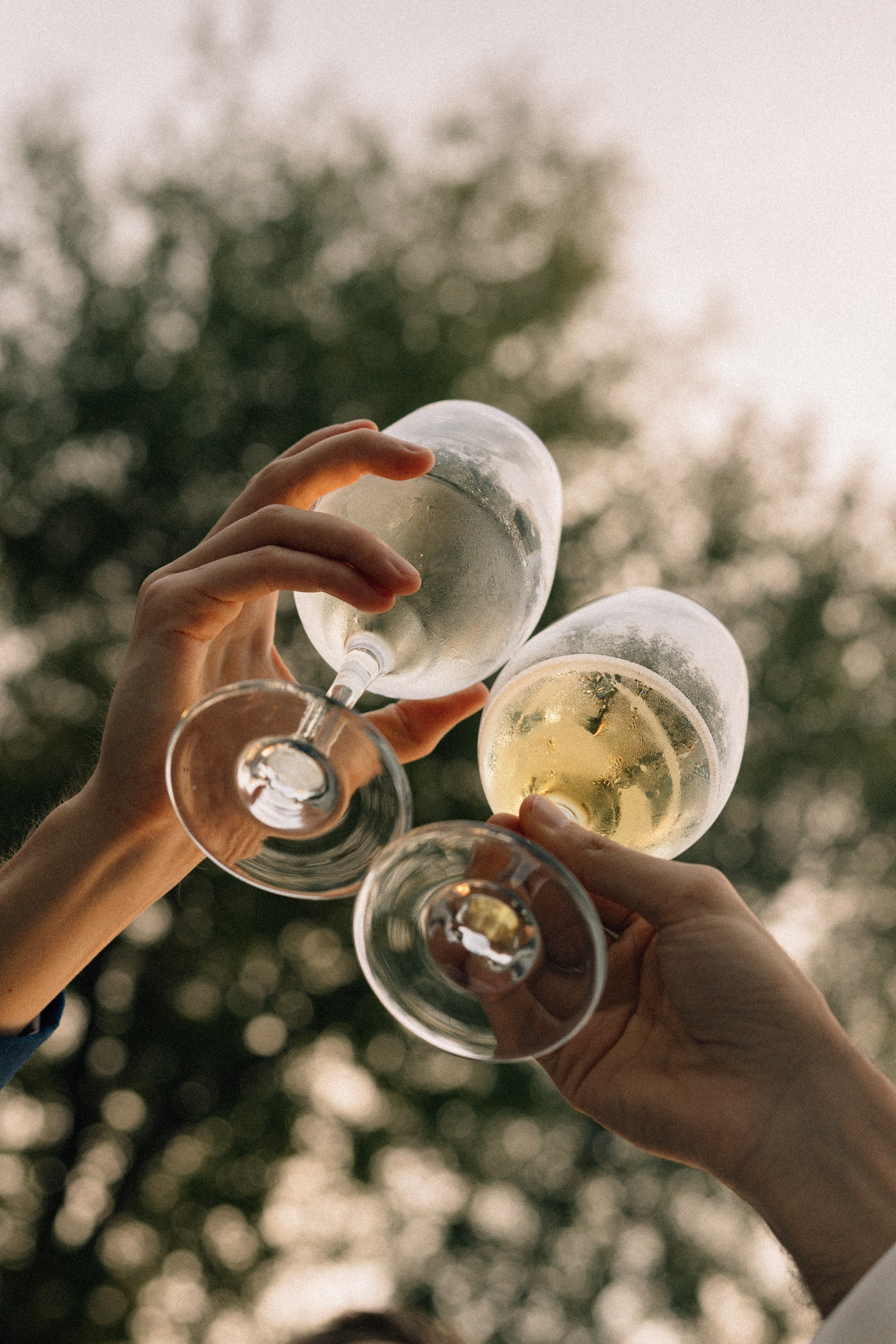 Queer Wedding in Richmond, VA. Sara Eulalia | Virginia Photographer