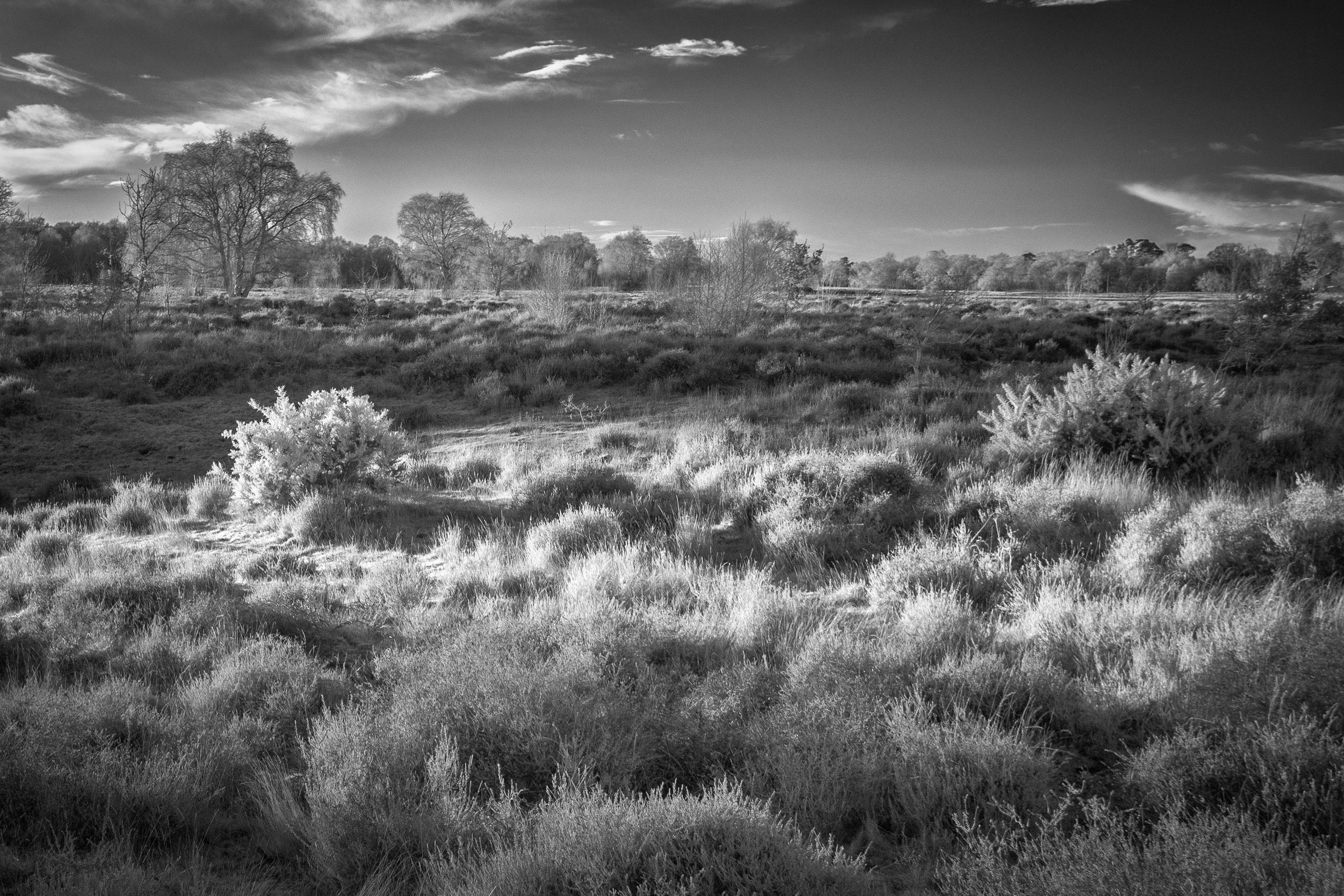 UK Landscape & Seascape Gallery. Hedley Wright Photography | East Anglia Sport, Street, Wildlife, Landscape & Astrophotography