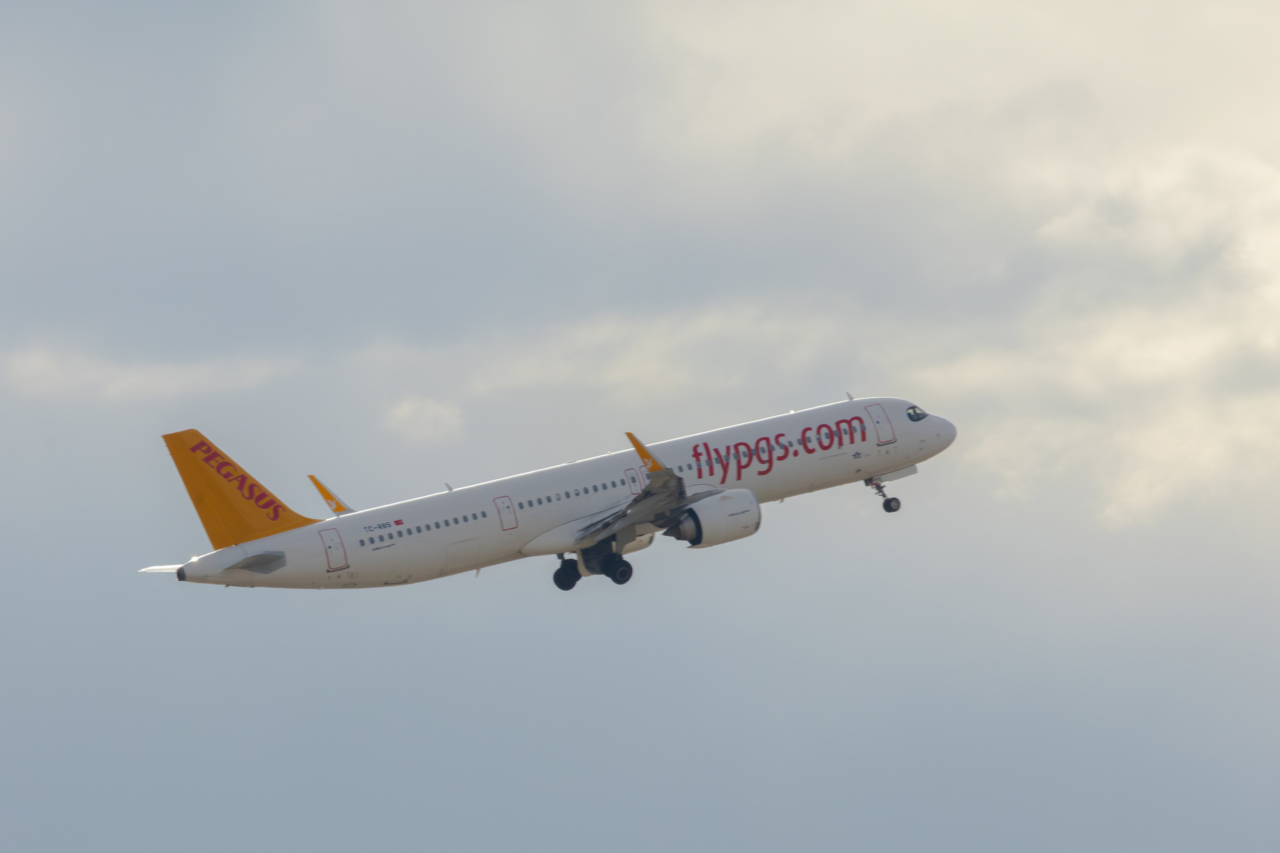 ფრთა ბუმბულისა და ფრთა რკინისა. FramefreeMan