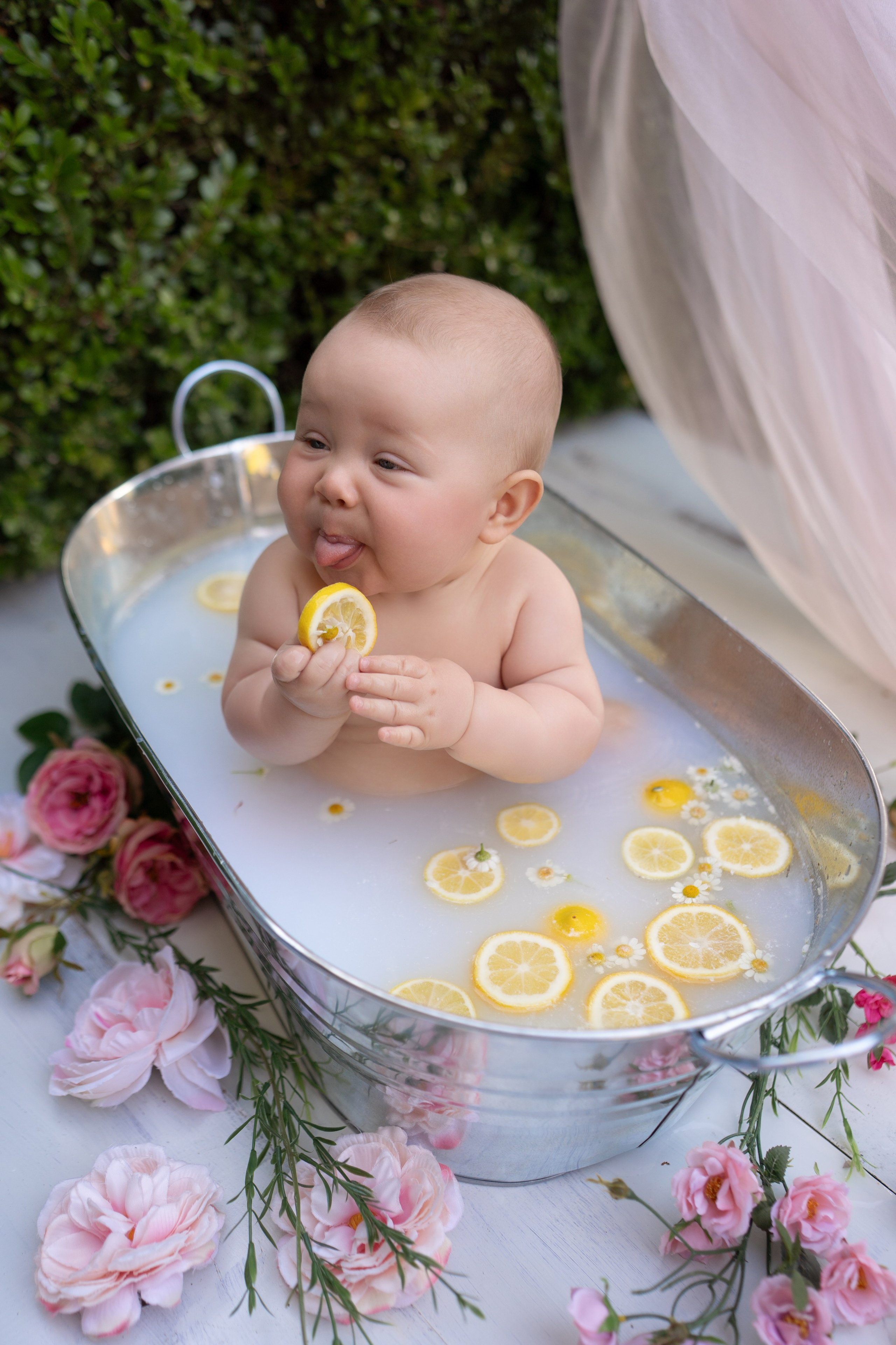 Milestone. Maternity, family and newborn photography in San Francisco Bay Area
