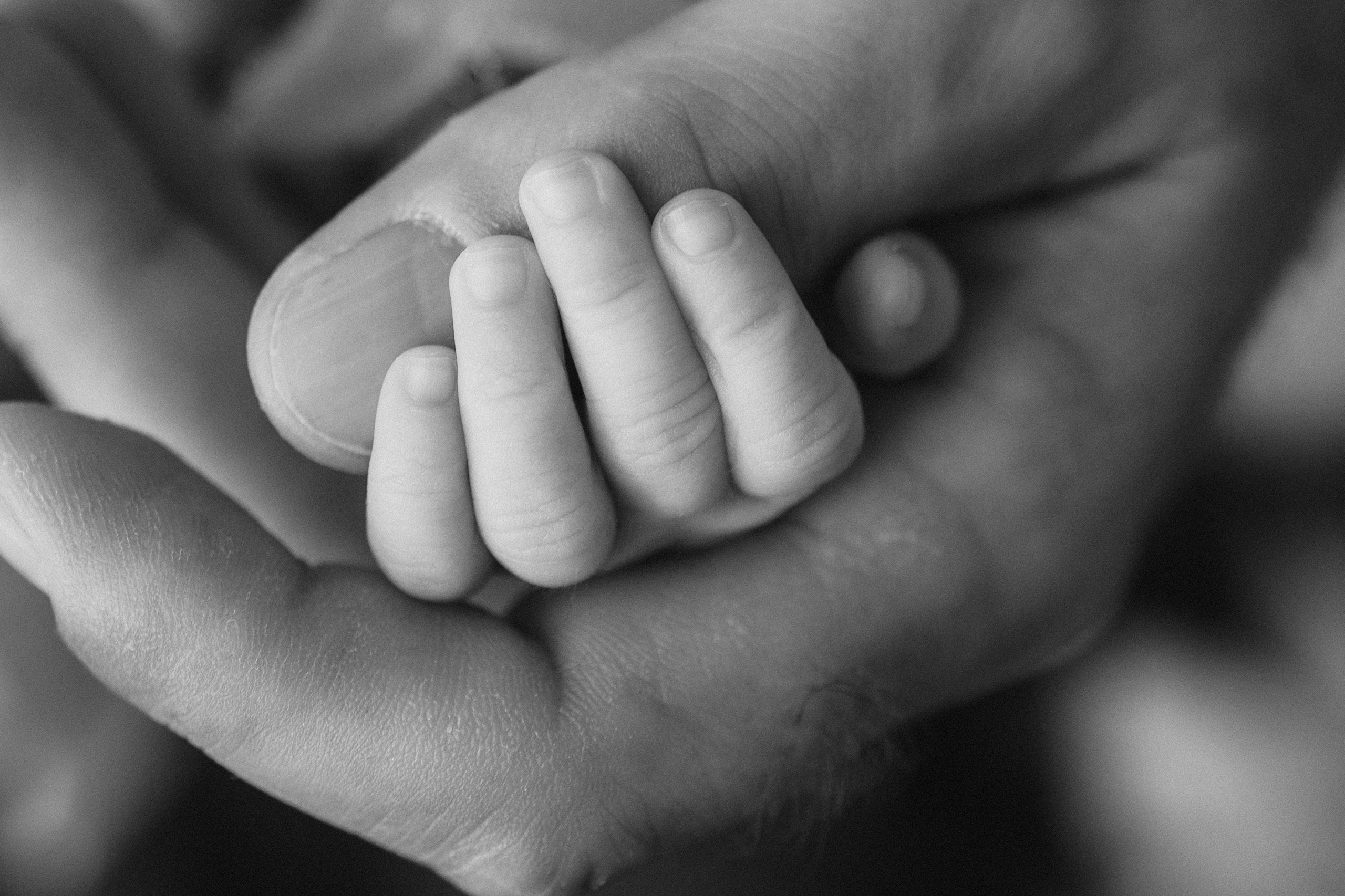 Fotograf de familie în Oradea Katsiaryna Ciortan