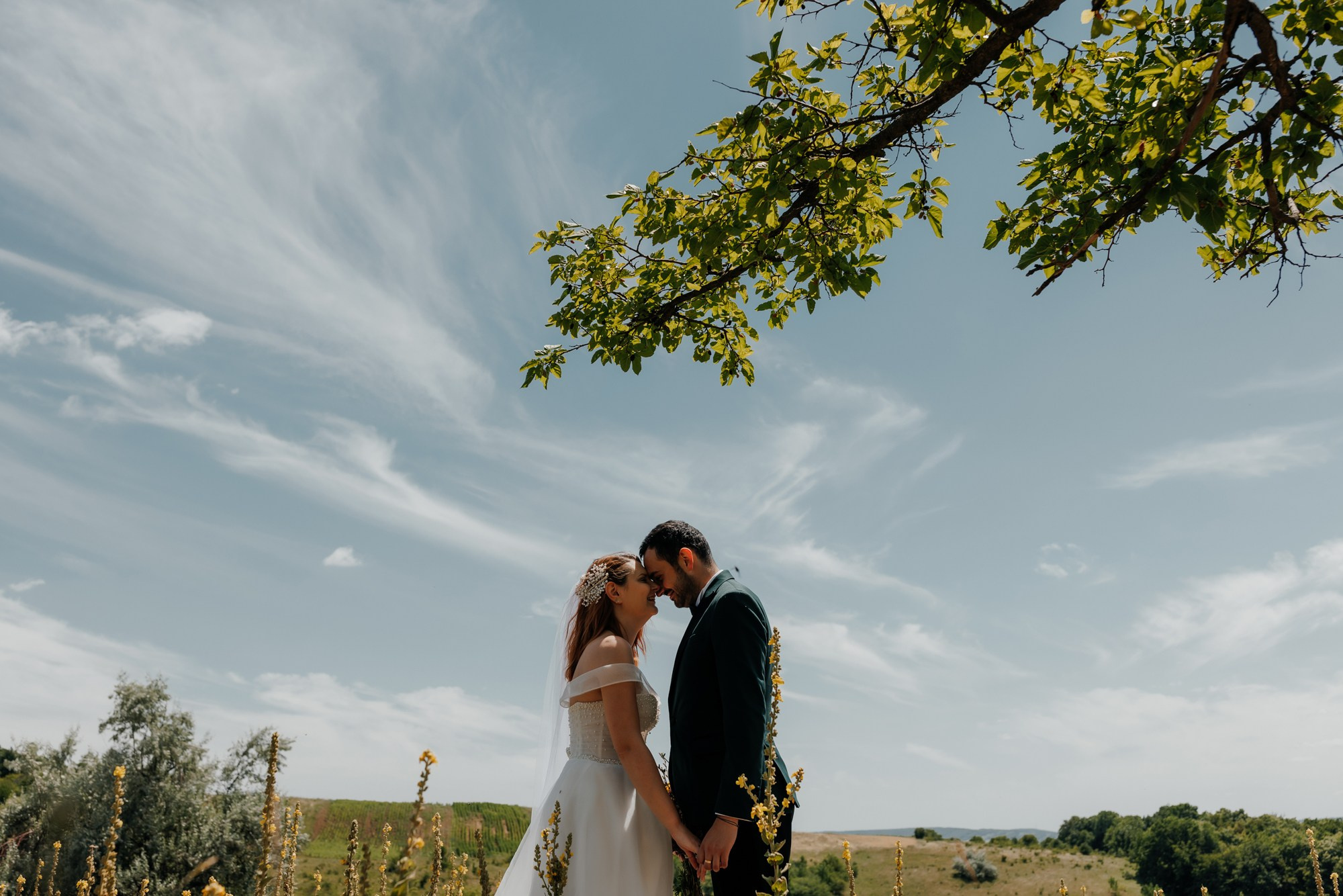 Andrei si Adelina. Wedding photographer and videographer