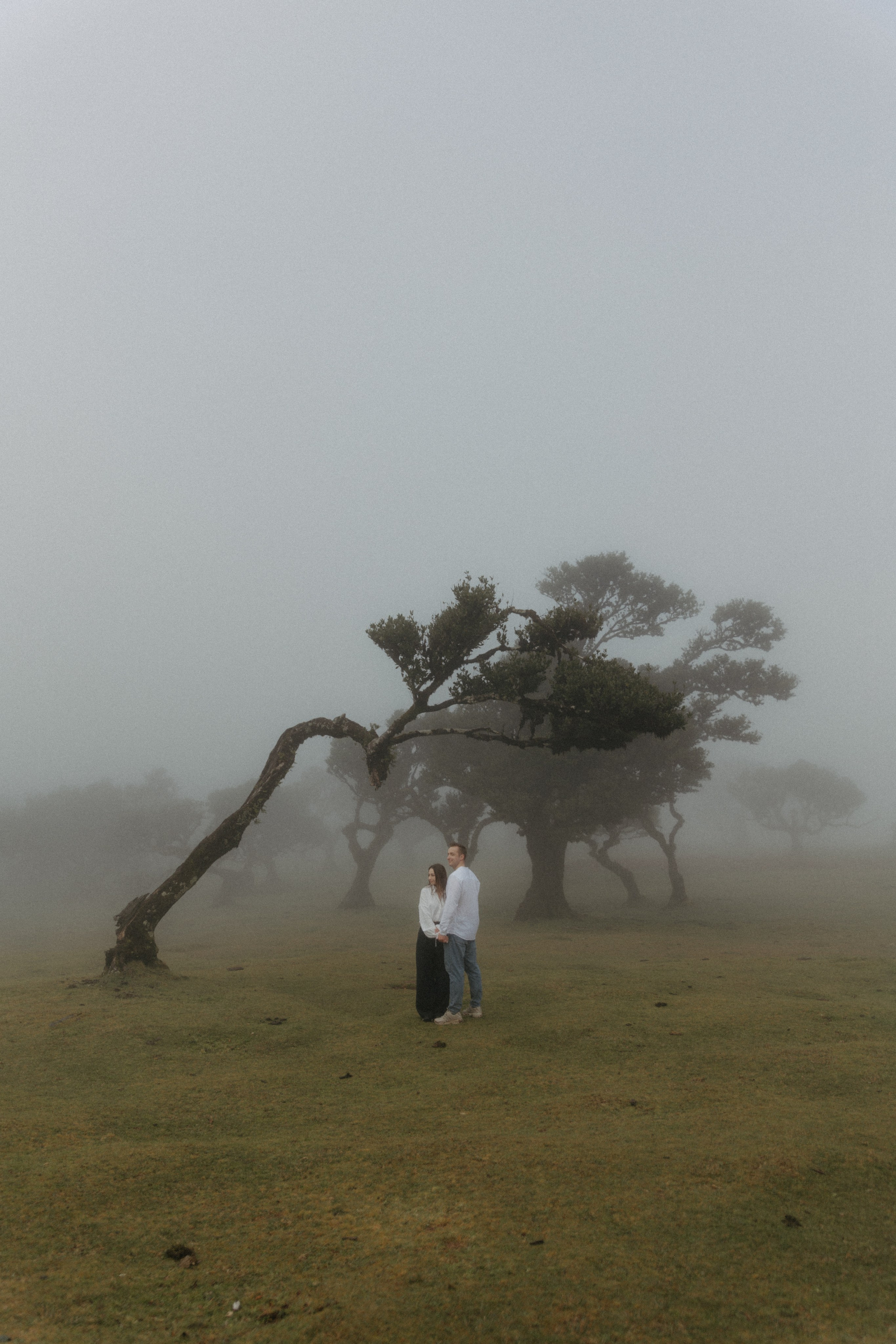 Magic of Fanal Forest. Wedding photographer and videographer based in Timisoara, Romania