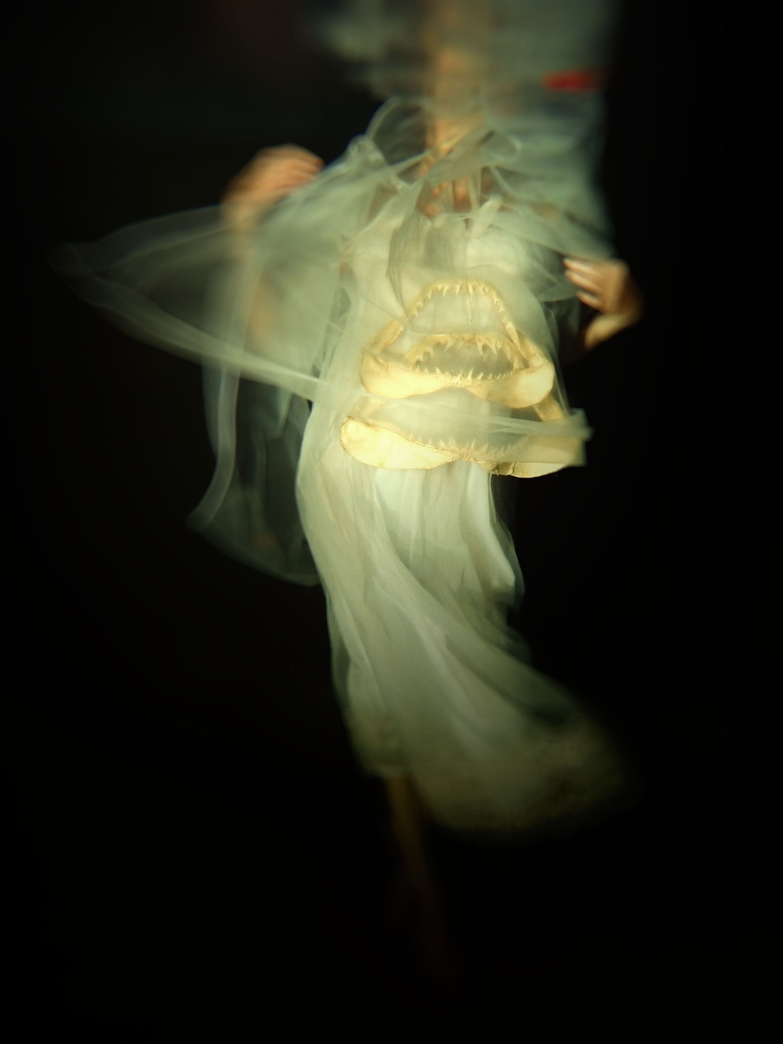 Photo by Kari Bishop