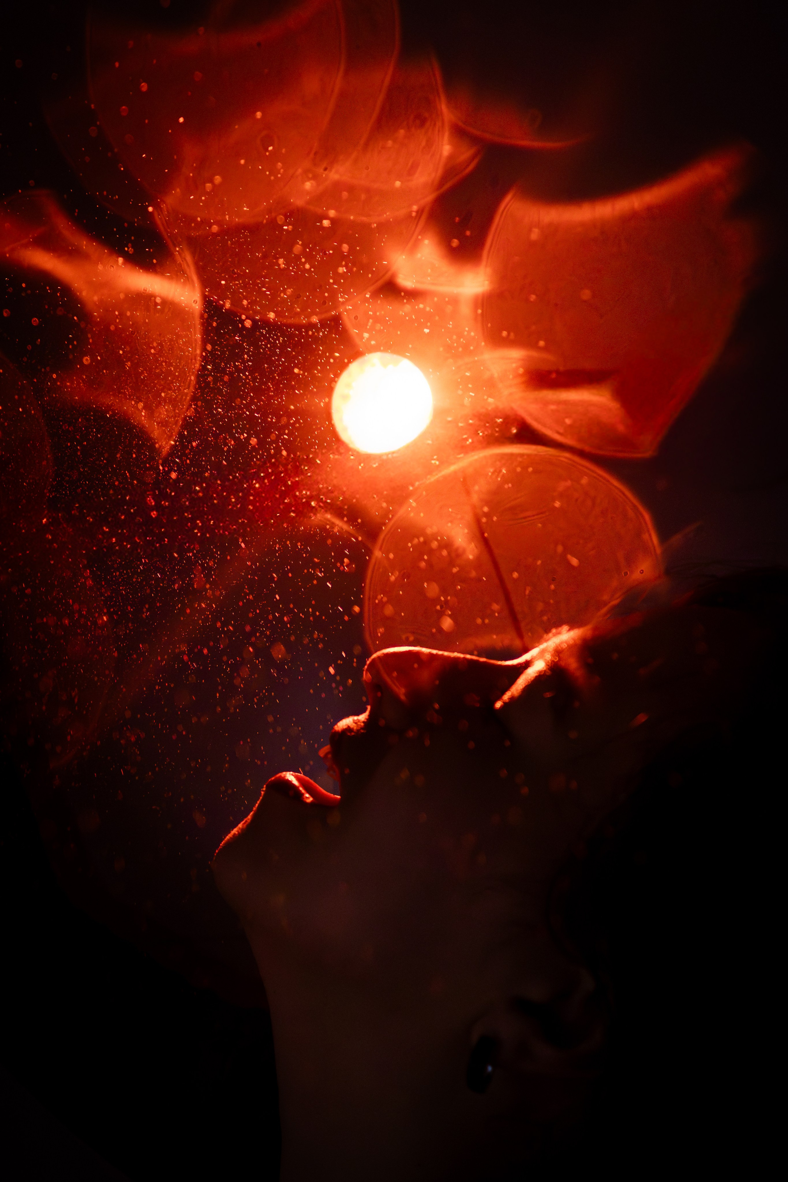 Projet 365 autoportraits par Eugenia Andres. Photographe à Genève - Eugenia Andres