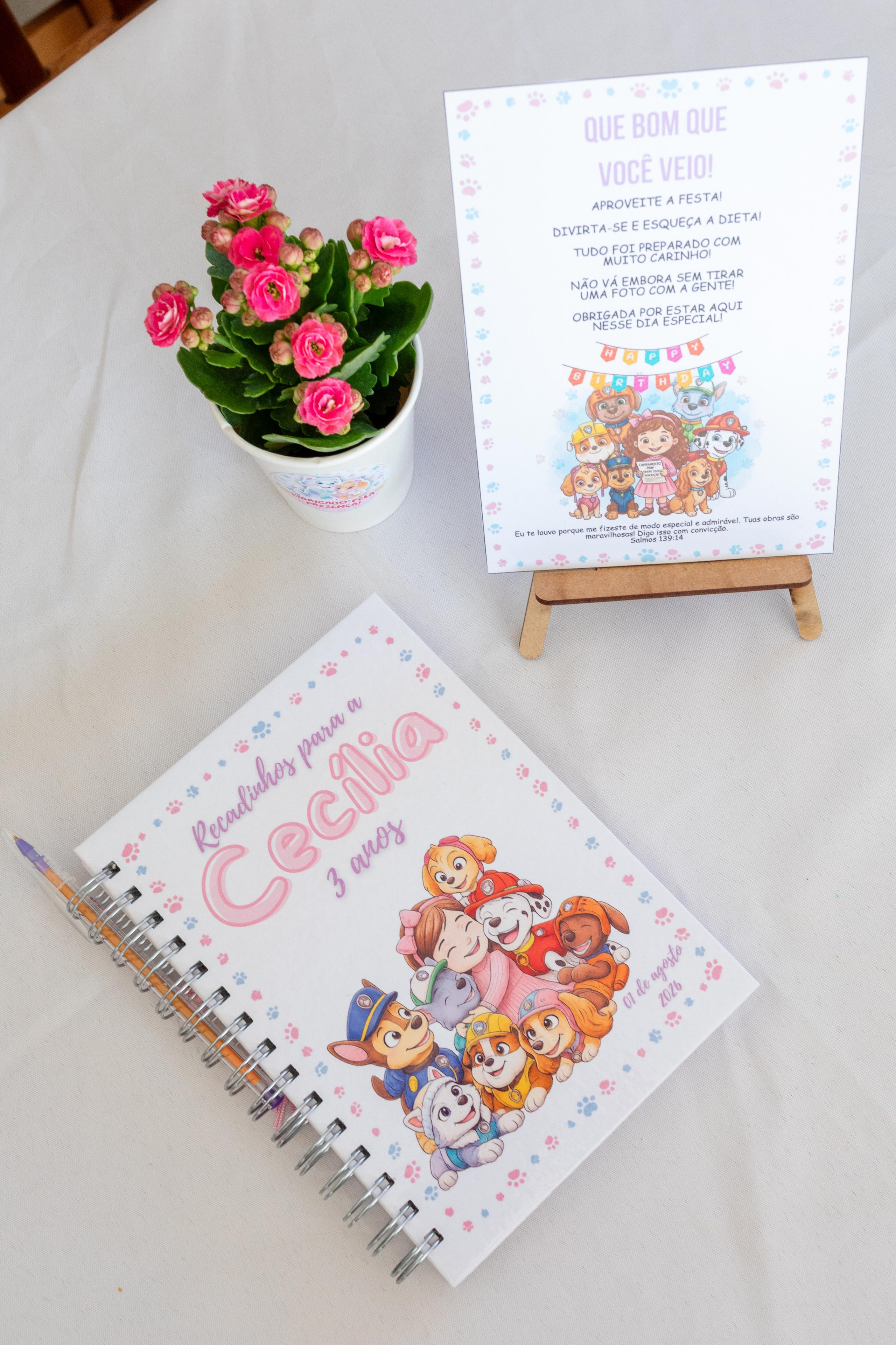 Papelaria e recepção de festa de aniversário infantil em Joinville - Registro fotográfico por Lenofotografia