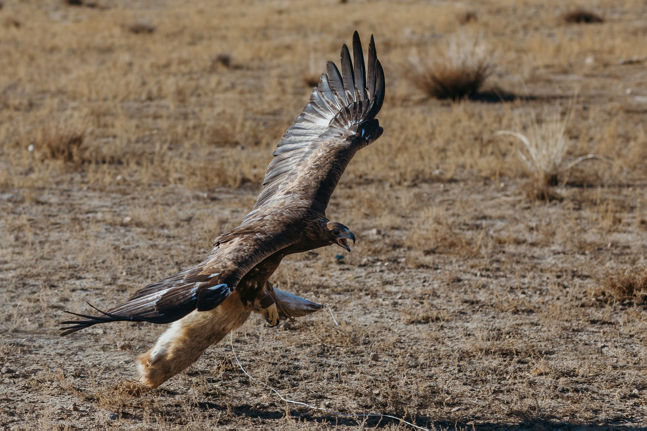 Предложение Дэниела и Джесс — Иссык-Куль, Каджи-Сай | Оксана Шувалова фотограф — Proposal Photos Kyrgyzstan (Issyk-Kul, Kajy-Say). Фотограф в Бишкеке Оксана Шувалова