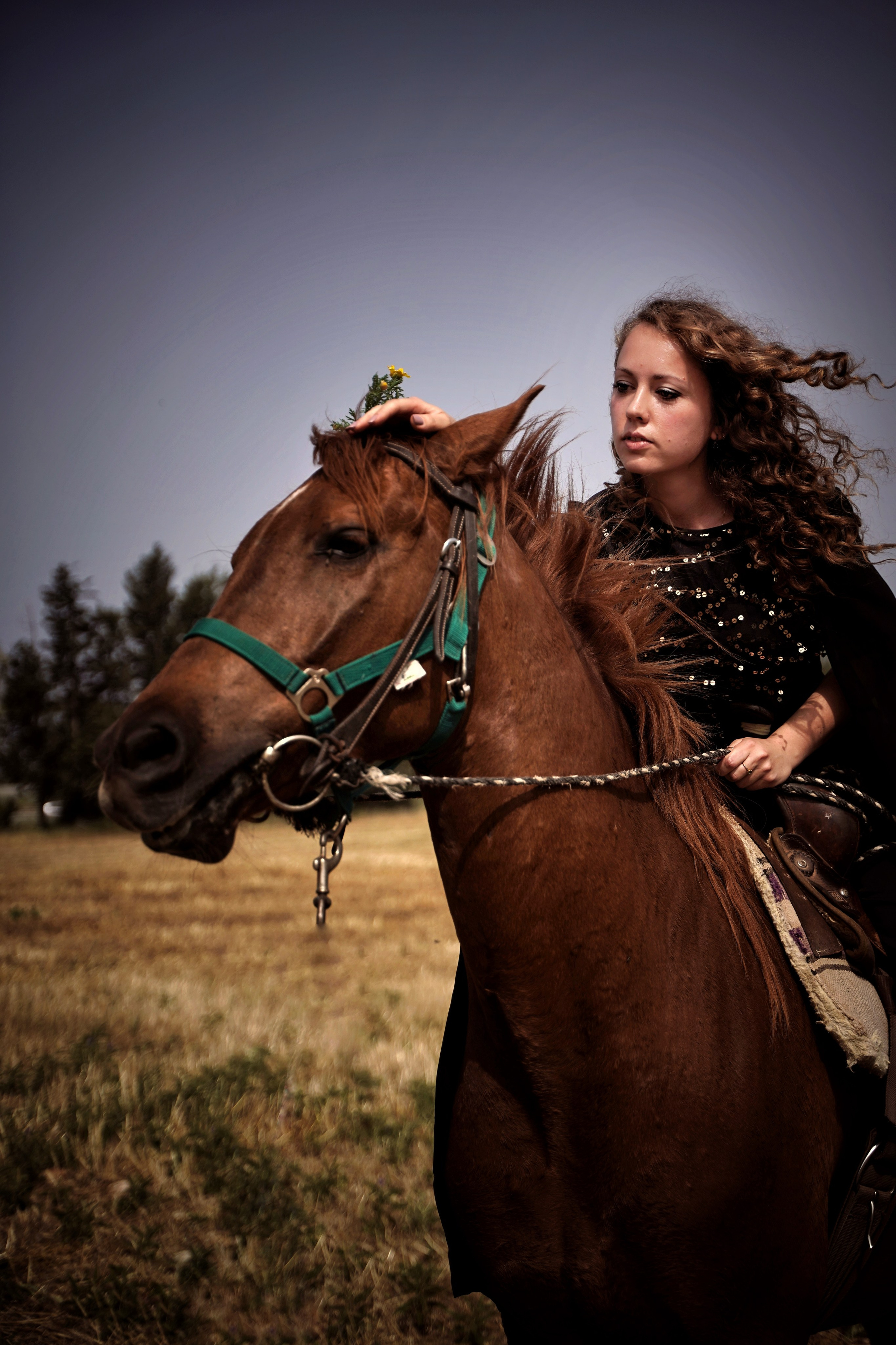 Новогодняя история. Фотограф. Визуал. Хайфа. Талья Цветкова