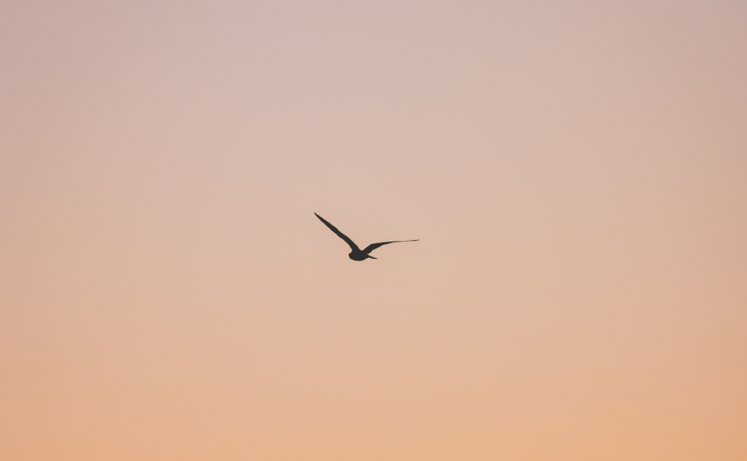 About. Divign By Tehilah — Meaningful Graphic Design & Photography