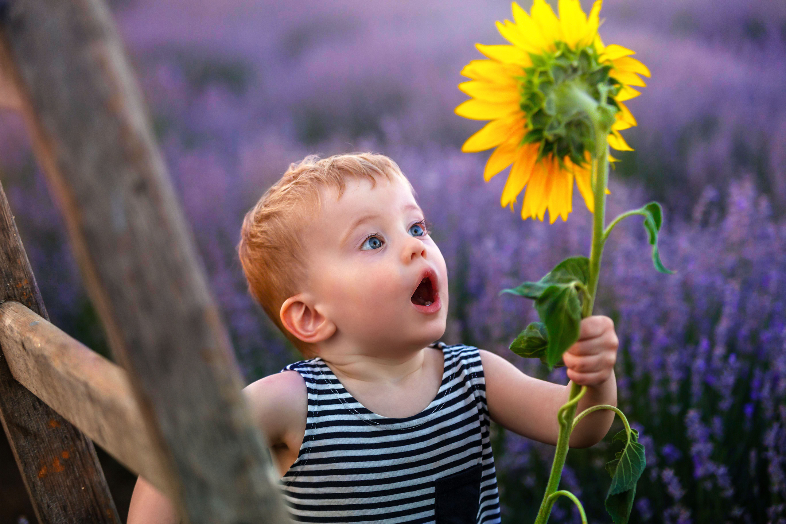 Family photographer in Burgas VladZavorg