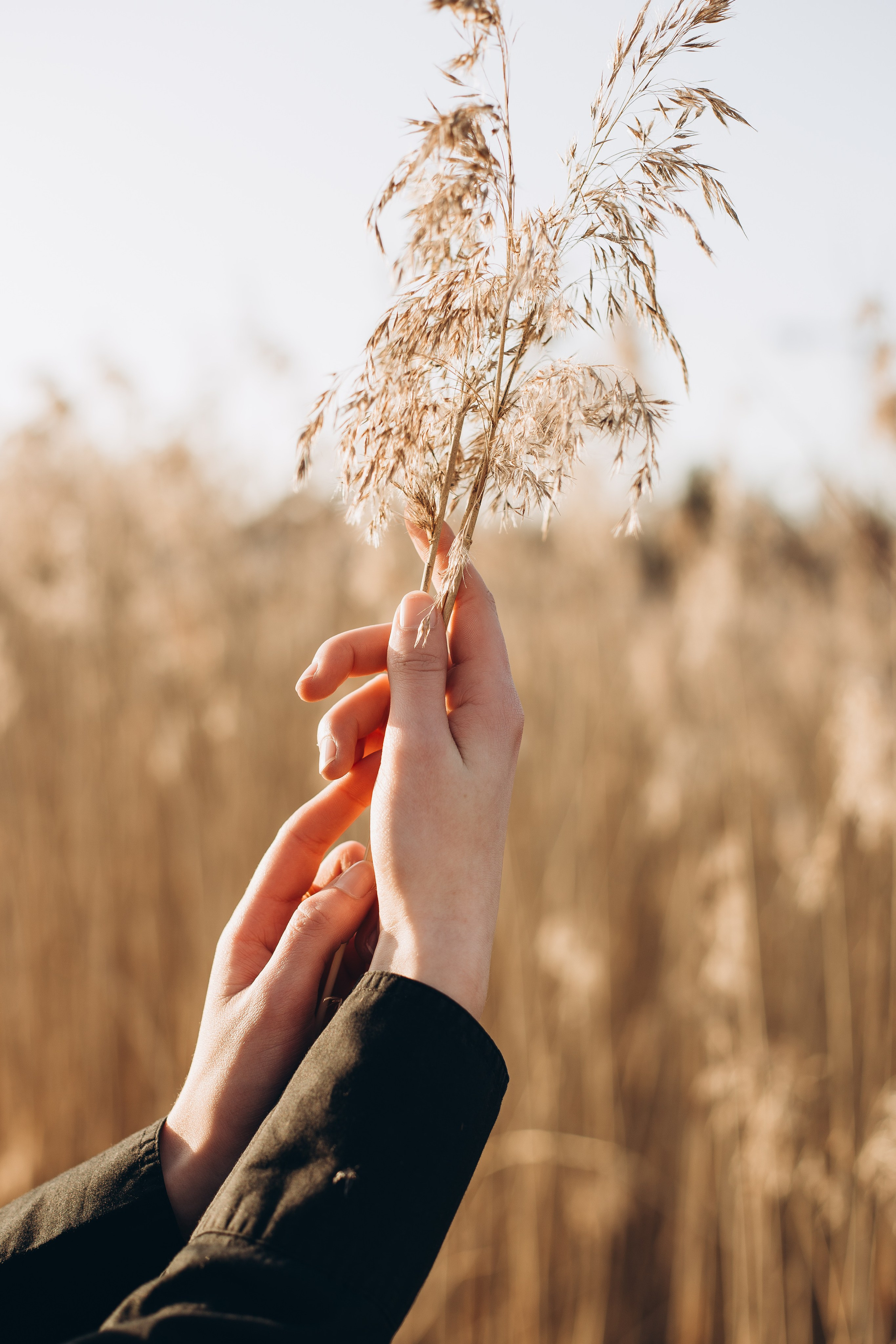 Porträt. Fotografin Larysa Chepurko| Füssen| Garmisch-Partenkirchen| Weilheim| Schongau| Murnau| München | Hochzeitsfotograf Füssen | Larysa Photo