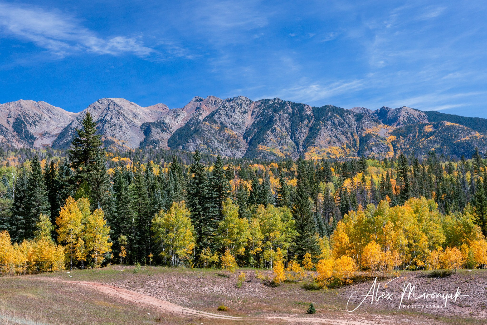 Fall Colors Of Colorado. Pet, Senior, Landscape, portrait studio, photographer in Miami and Sou