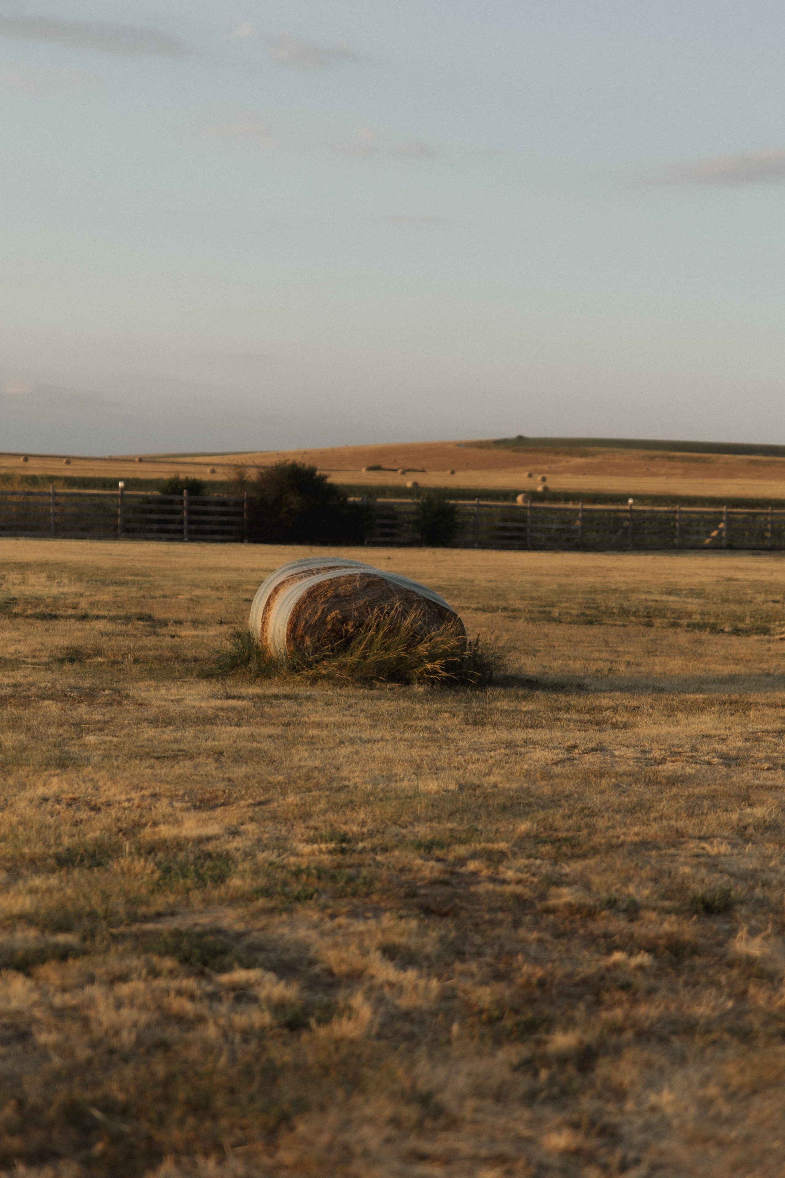 Victoria & Cristian | Wedding at Province Timisoara. Wedding photographer and videographer based in Timisoara, Romania