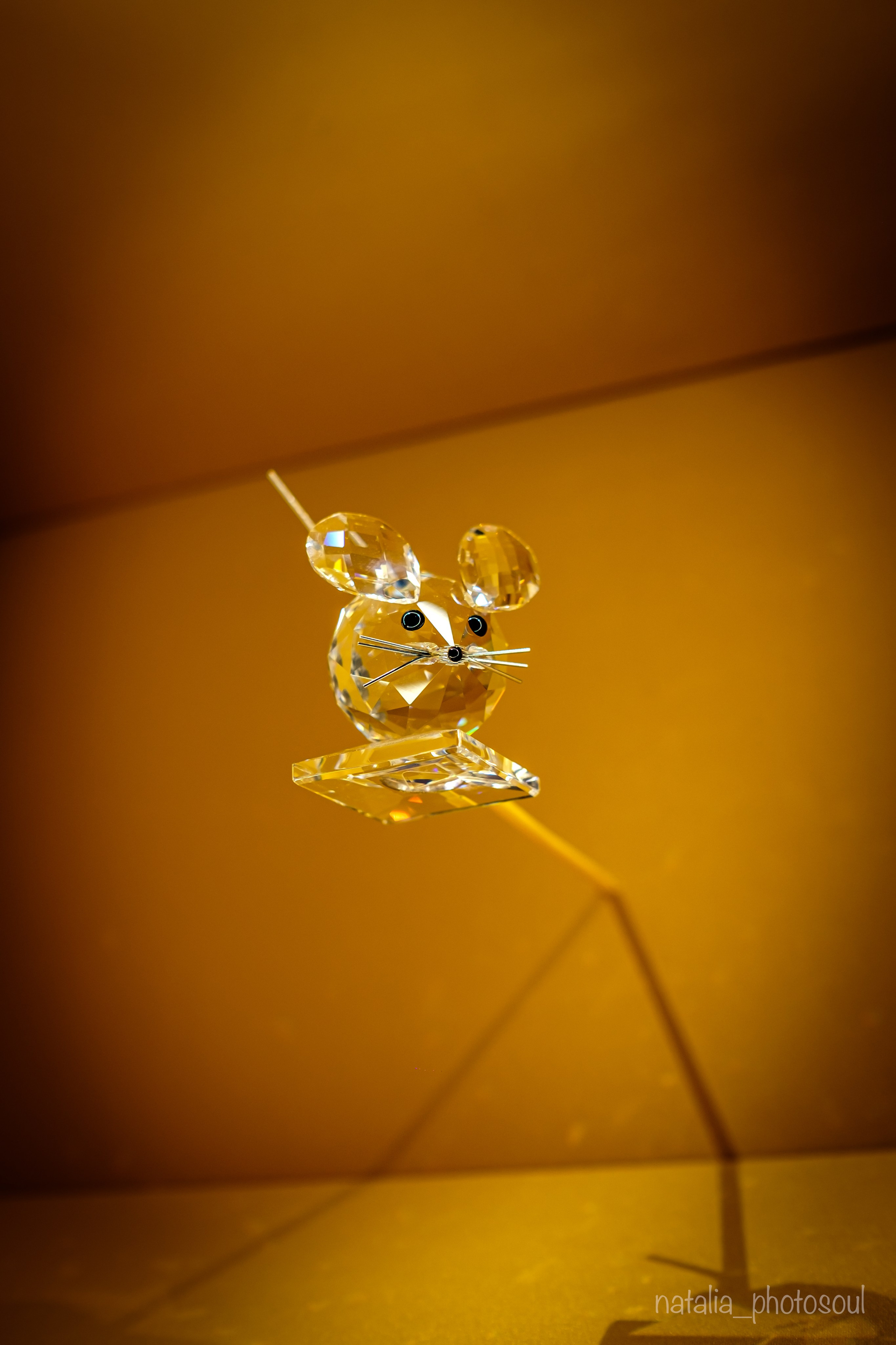 SWAROVSKI MASTERS OF LIGHT FROM VIENNA TO SEOUL. Photographer in Seoul Dobrokvashina Natalya