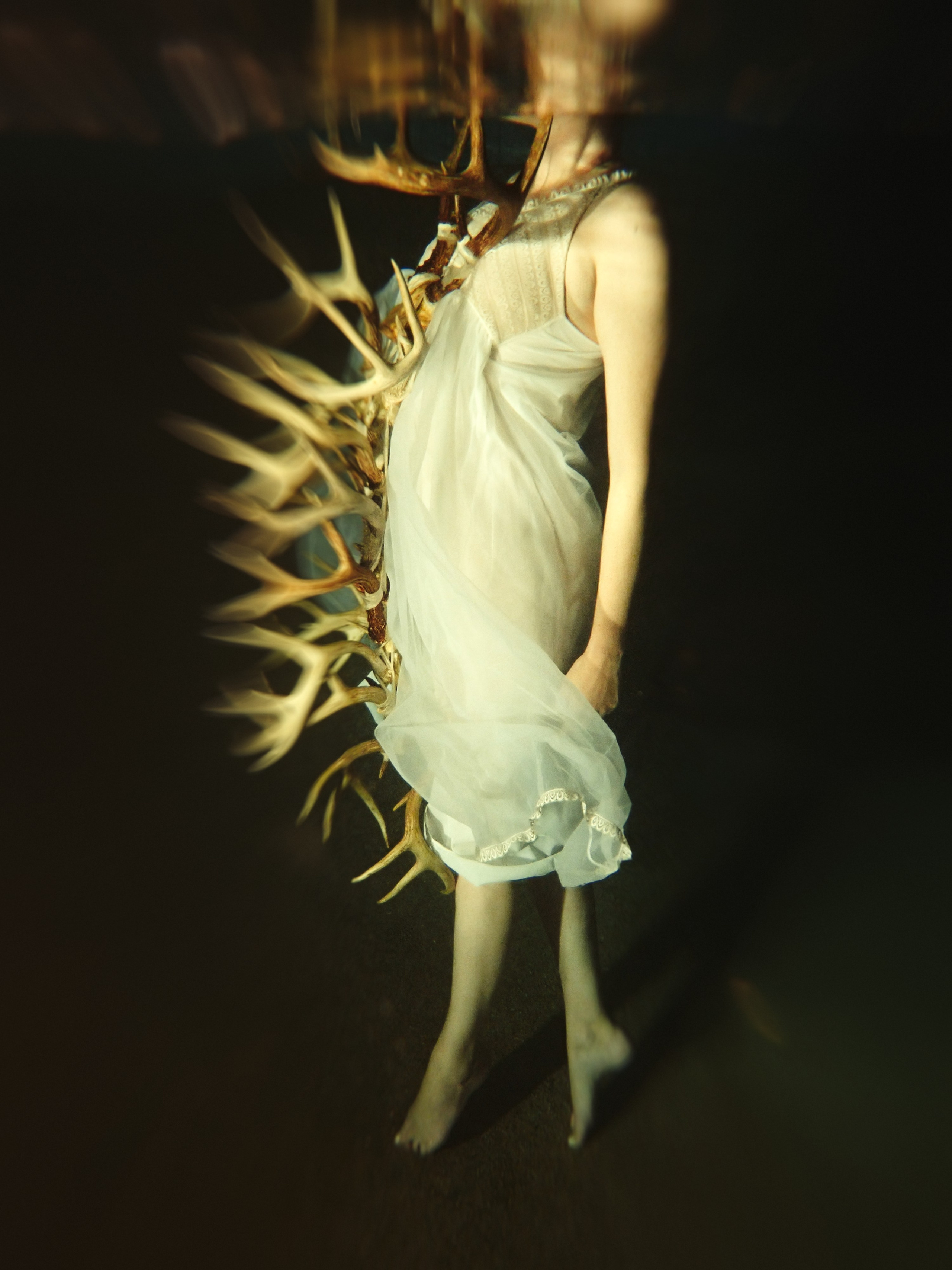 Photo by Kari Bishop