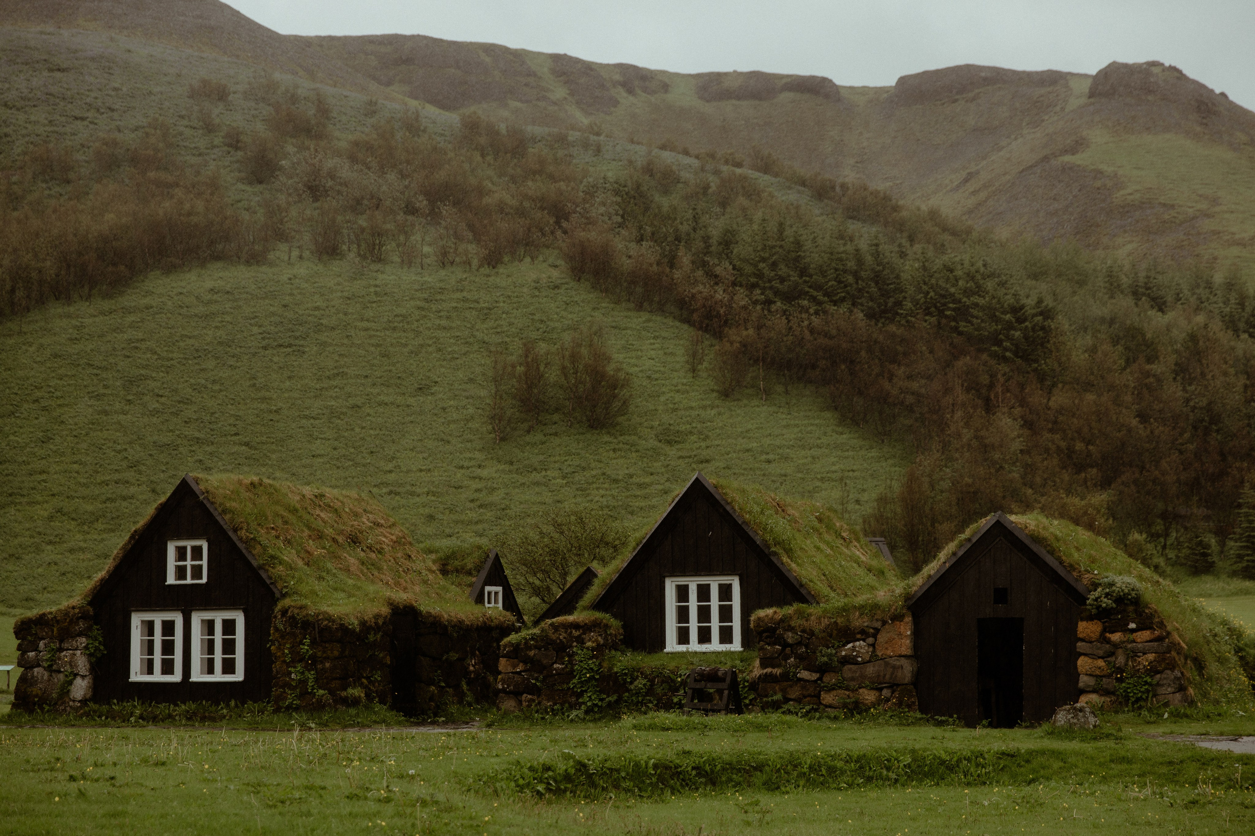 Iceland Elopement at Black Sand Beach. Iceland elopement photographer & videographer