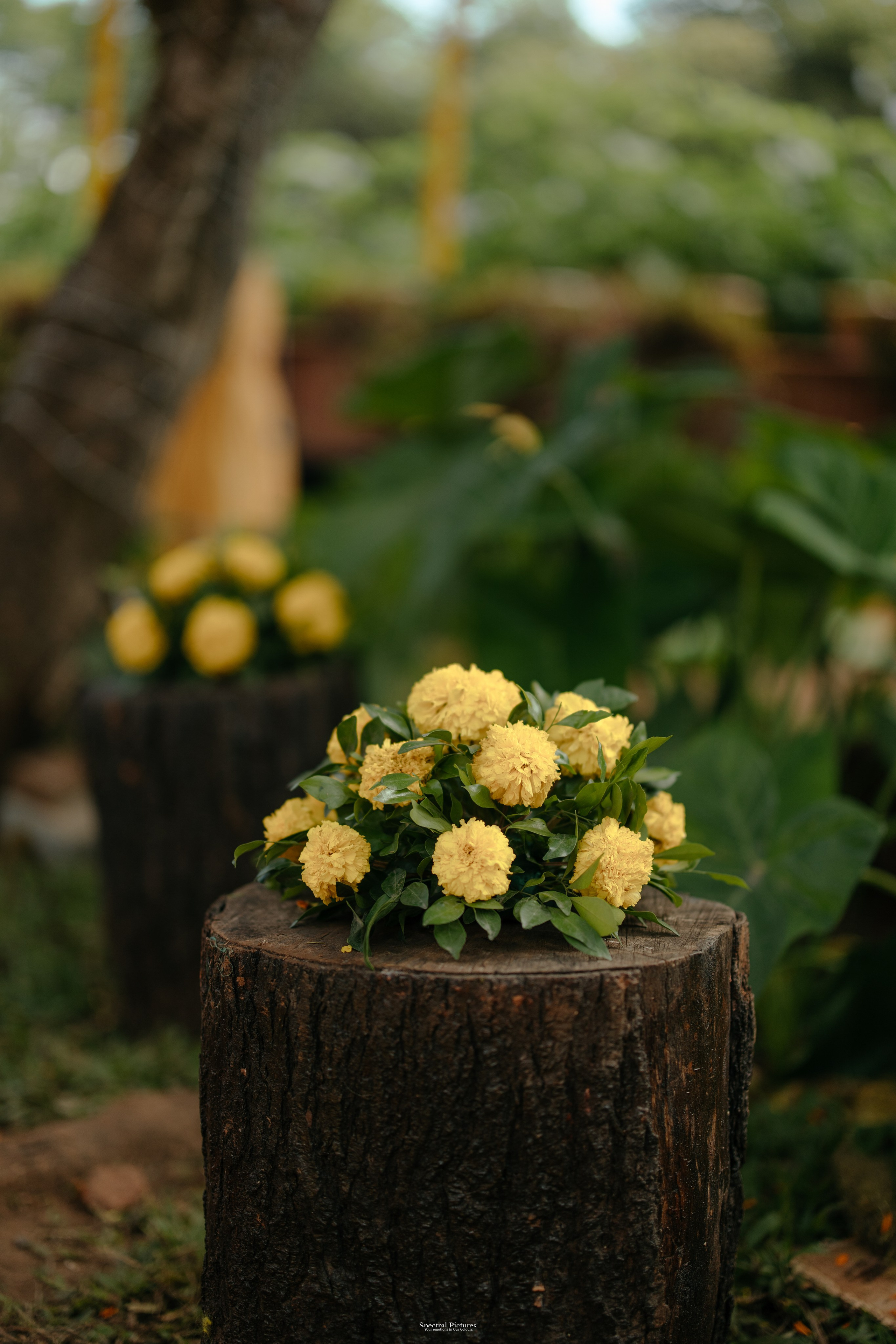 #THEPURALOVESTORY is a journey of two hearts growing in sync, across seasons, challenges, and memories