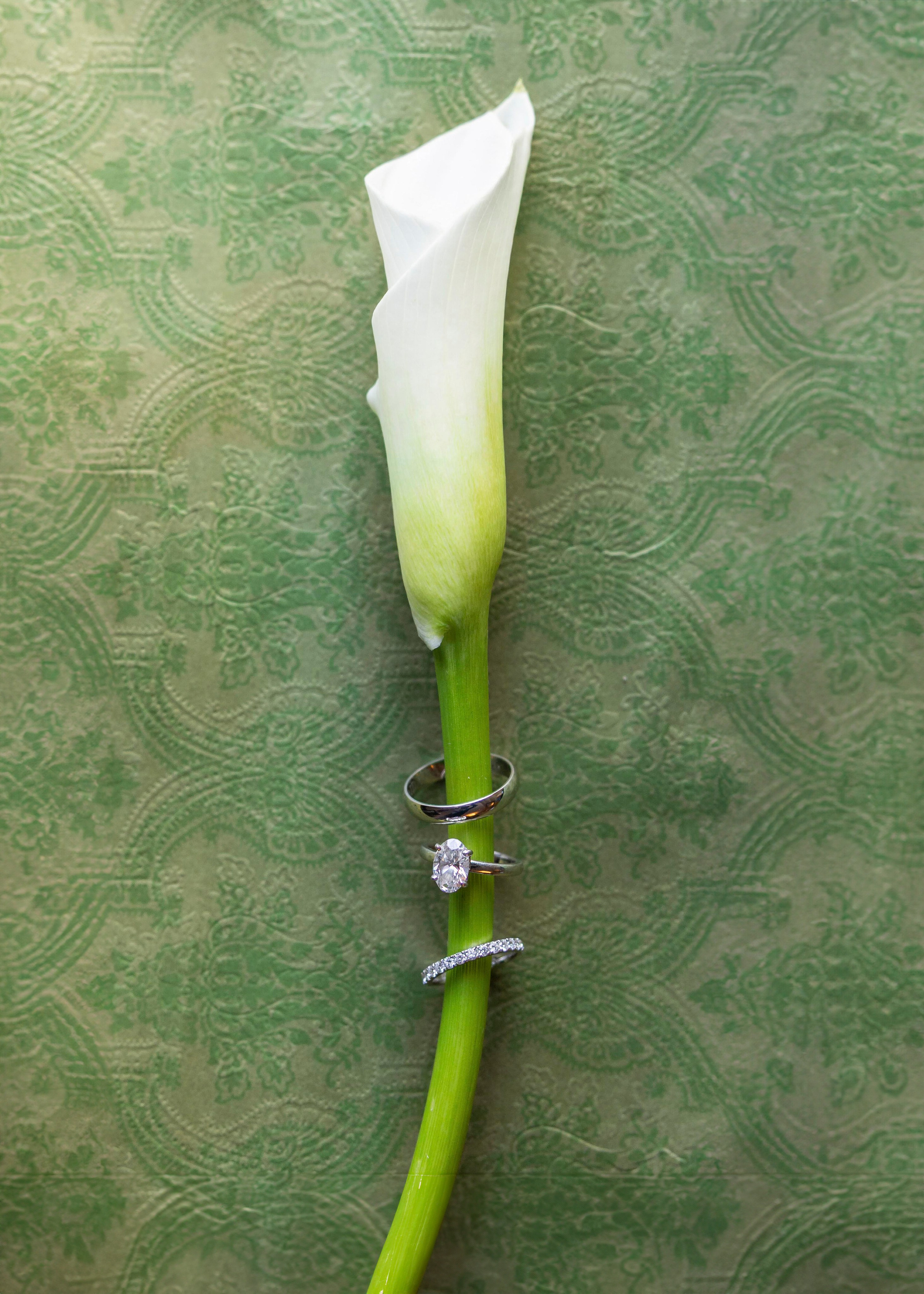 Wedding Photo & Video