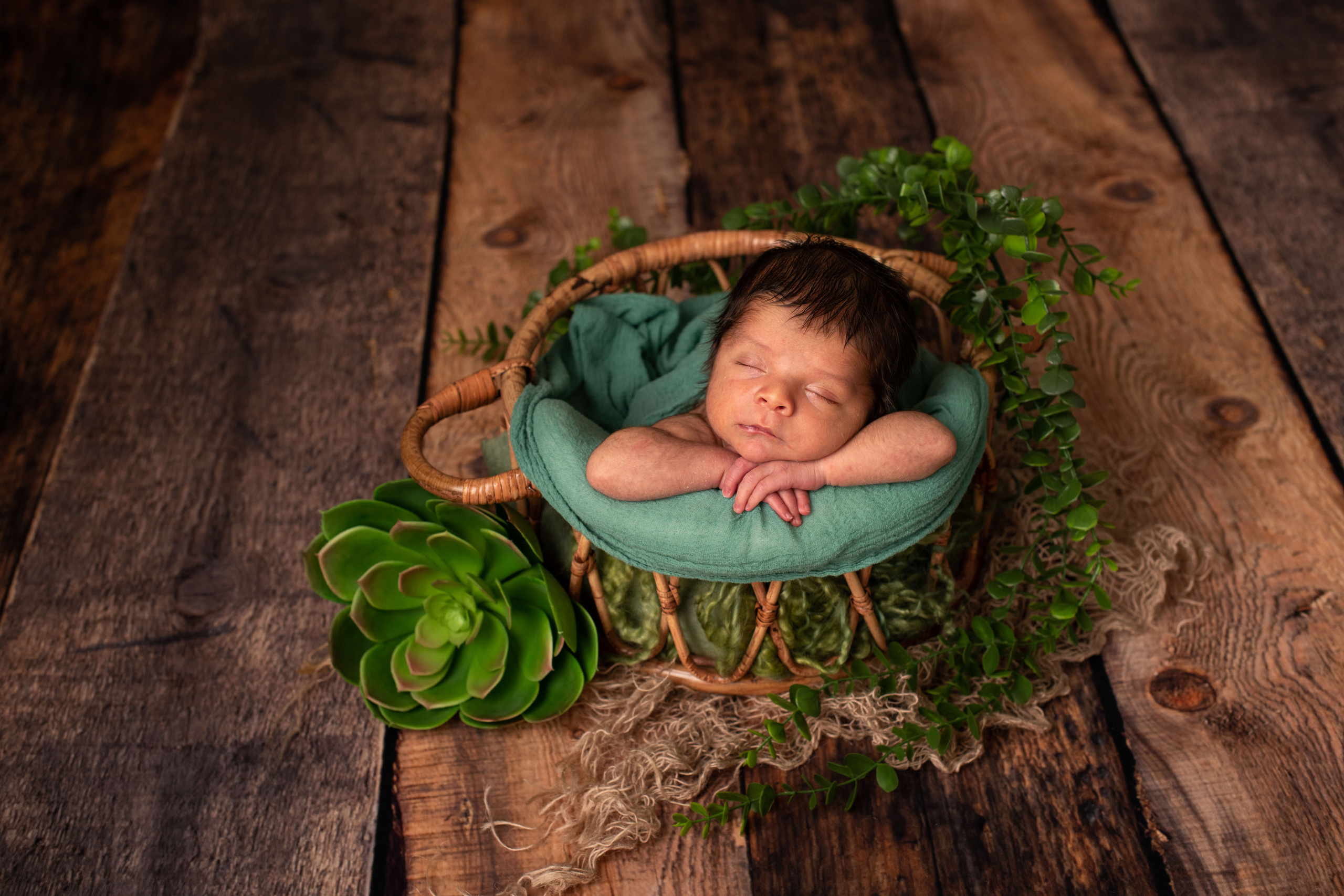 Liam newborn photoshoot. Newborn photographer Sacramento