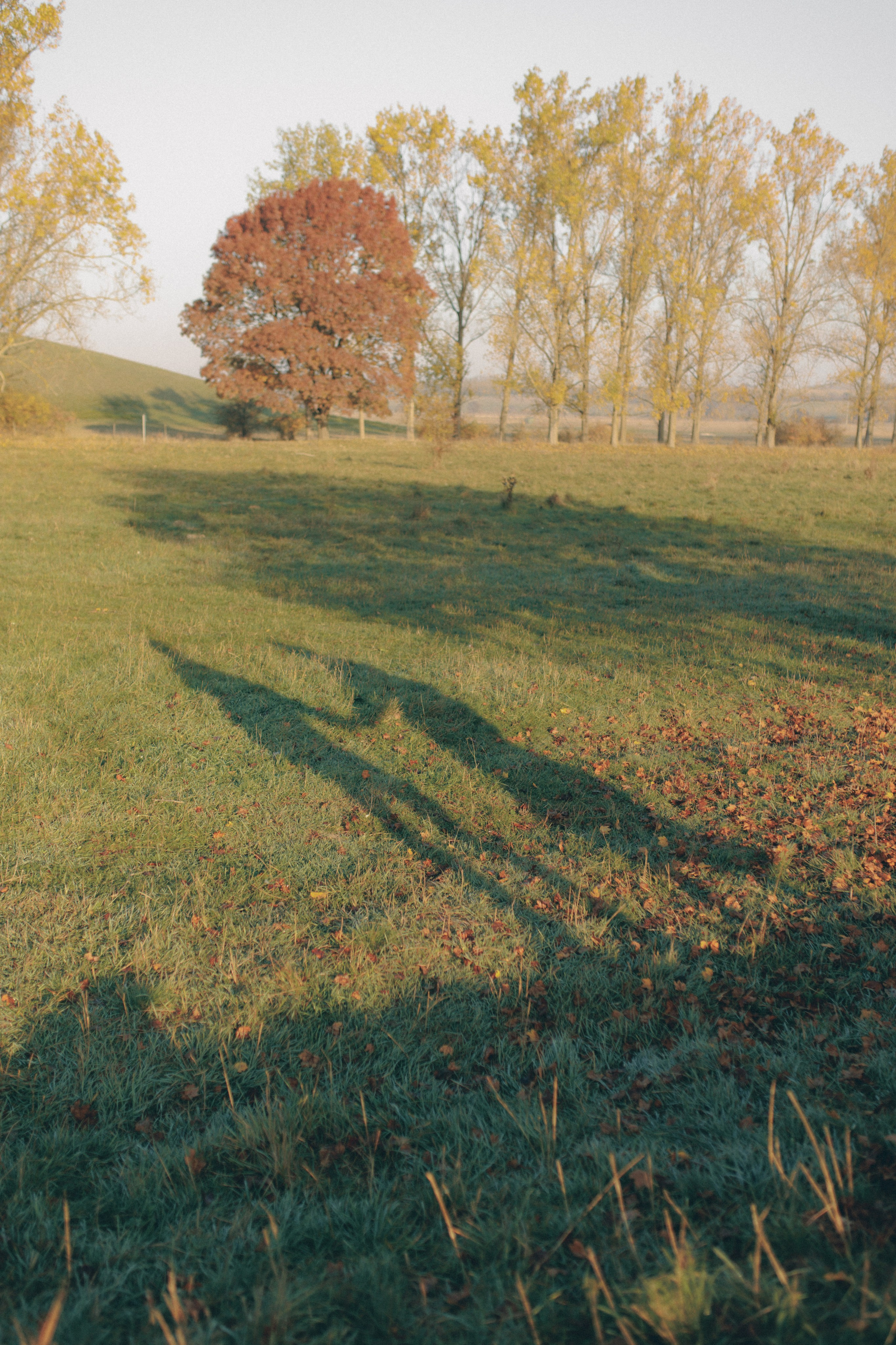 An autumn lovestory. Wedding photographer and videographer based in Timisoara, Romania