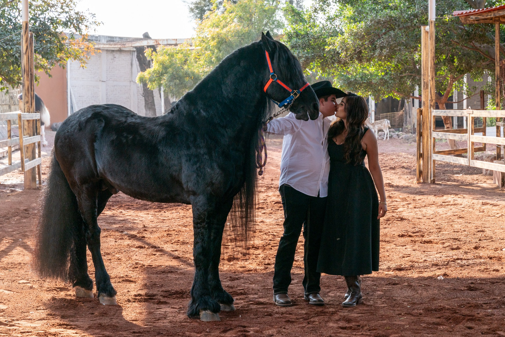 Elopement & Life Style Photographer