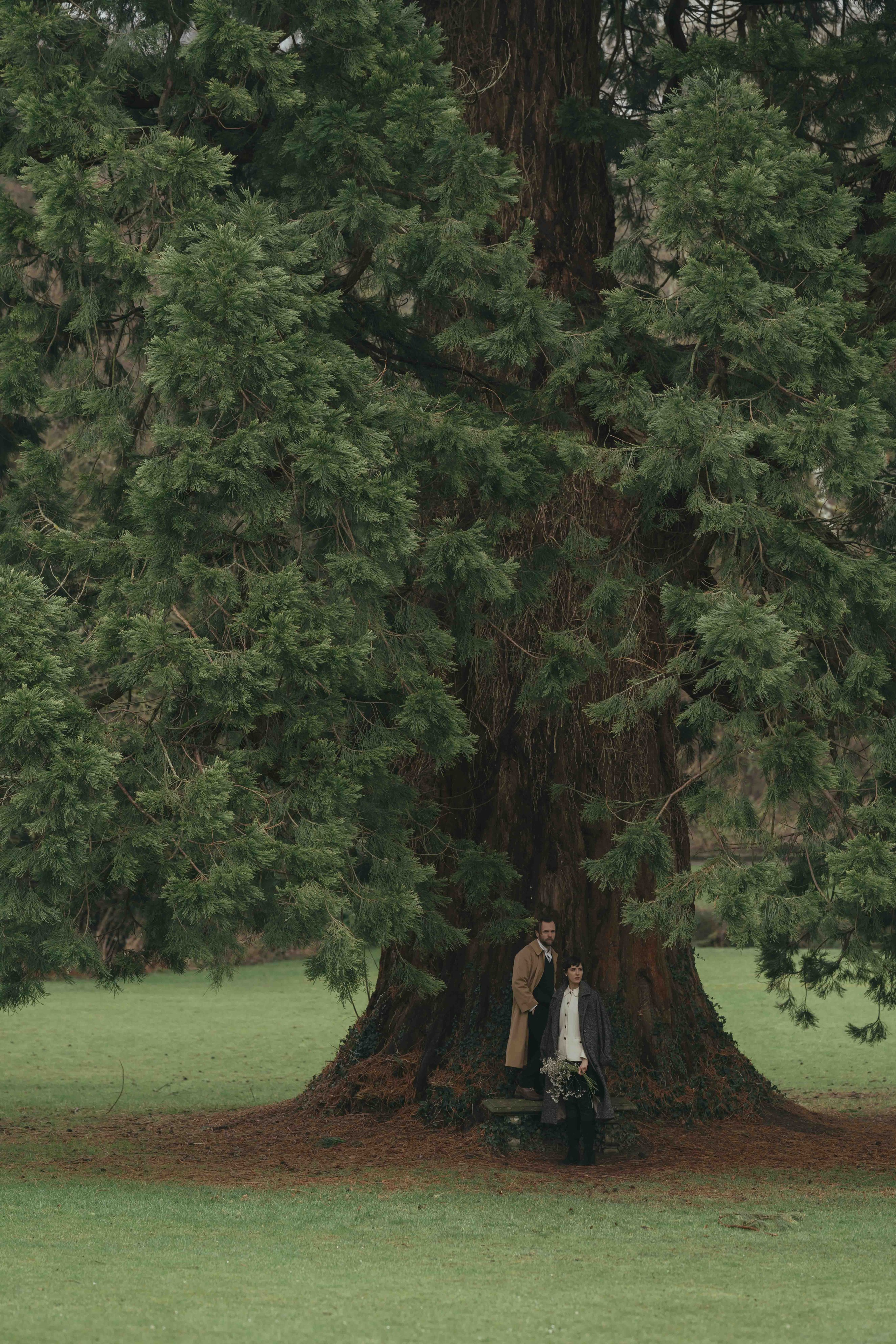 couple standing under large tree in Cotswolds countryside cinematic engagement photoshoot