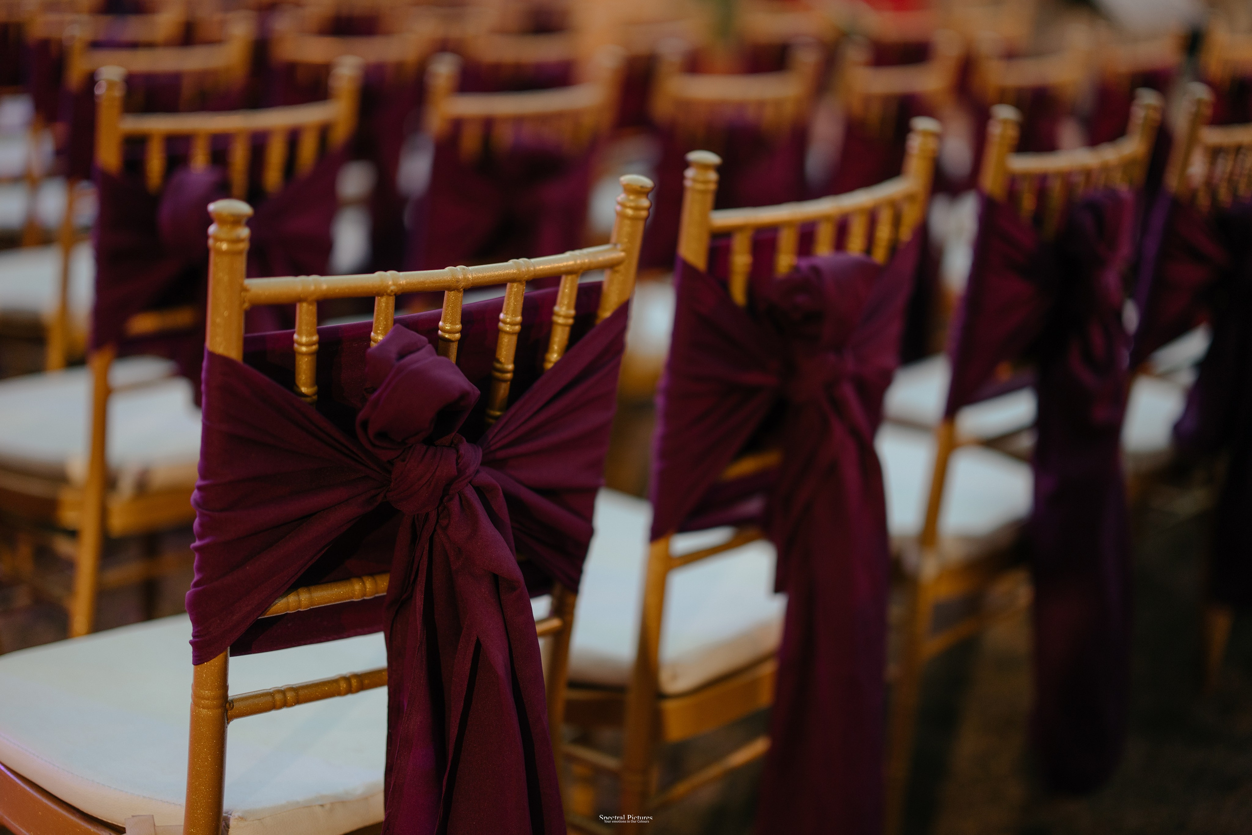 #THEPURALOVESTORY is a journey of two hearts growing in sync, across seasons, challenges, and memories