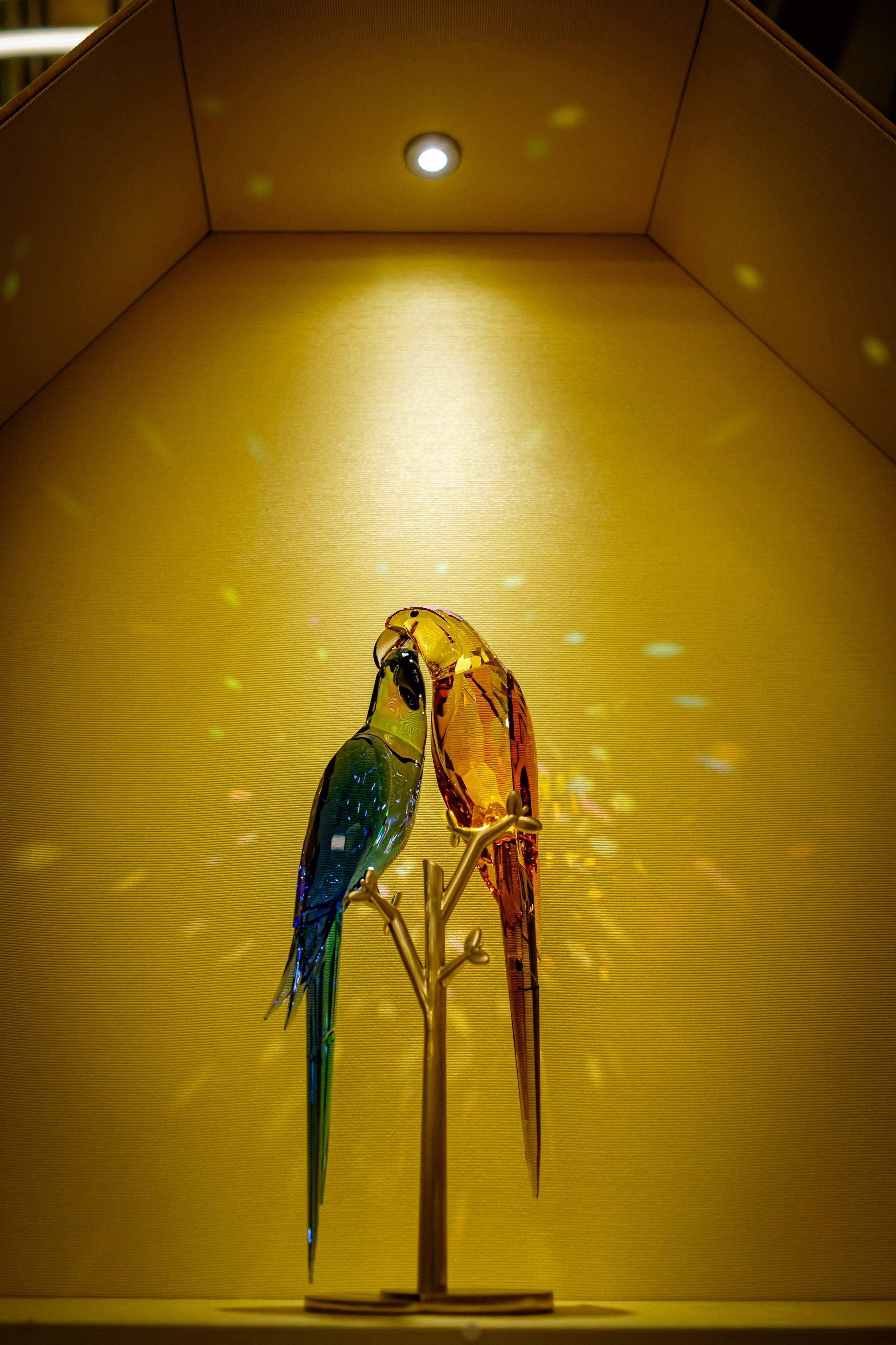 SWAROVSKI. Photographer in Seoul Dobrokvashina Natalya