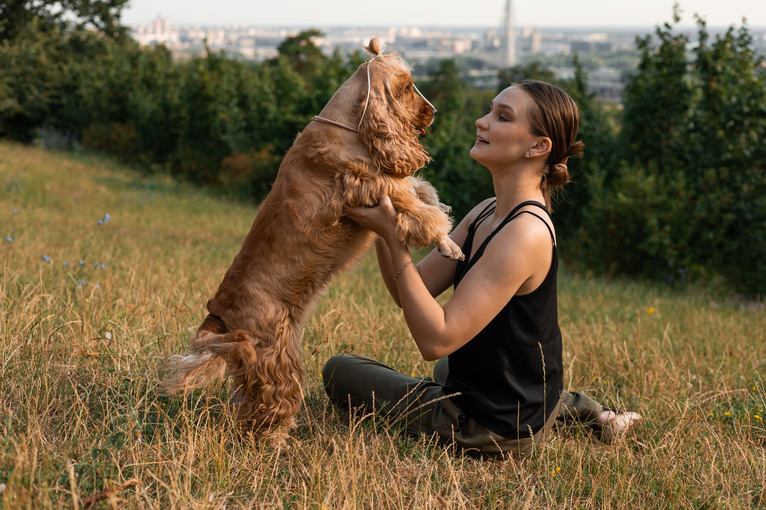Фотограф-анималист | Белград