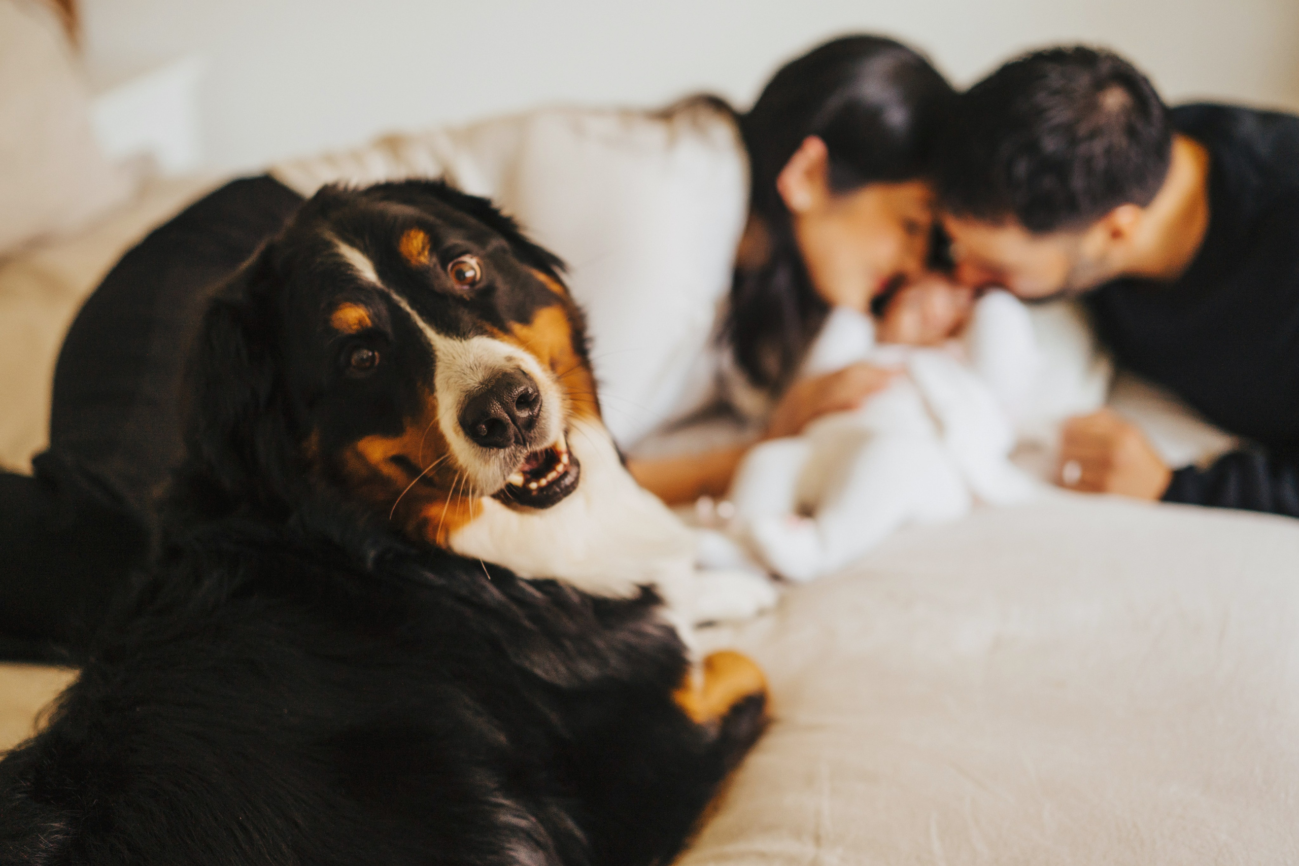 Wedding family photographer and videographer California San Francisco Bay Area