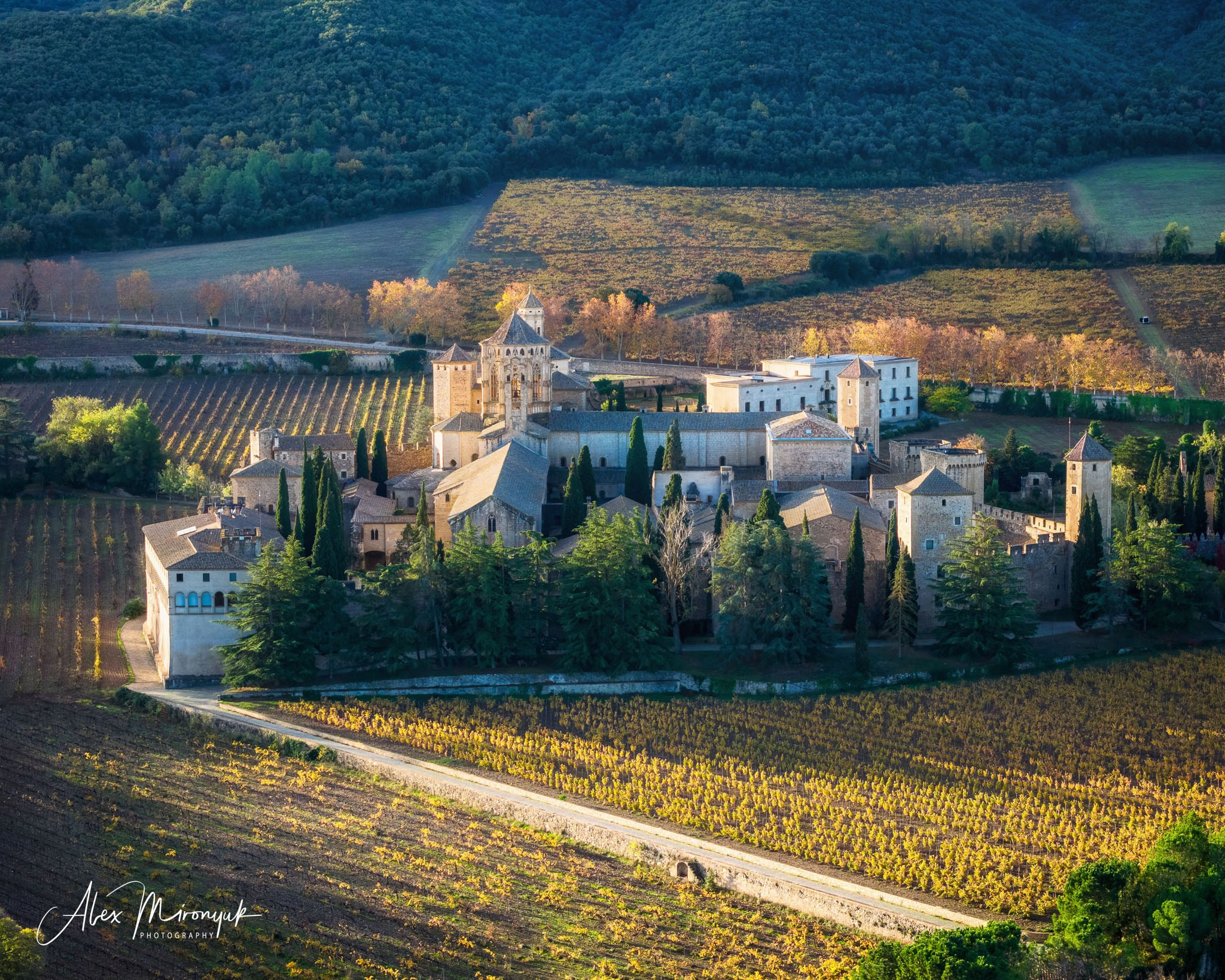 Catalonian Medieval Castles. Pet, Senior, Landscape, portrait studio, photographer in Miami and Sou