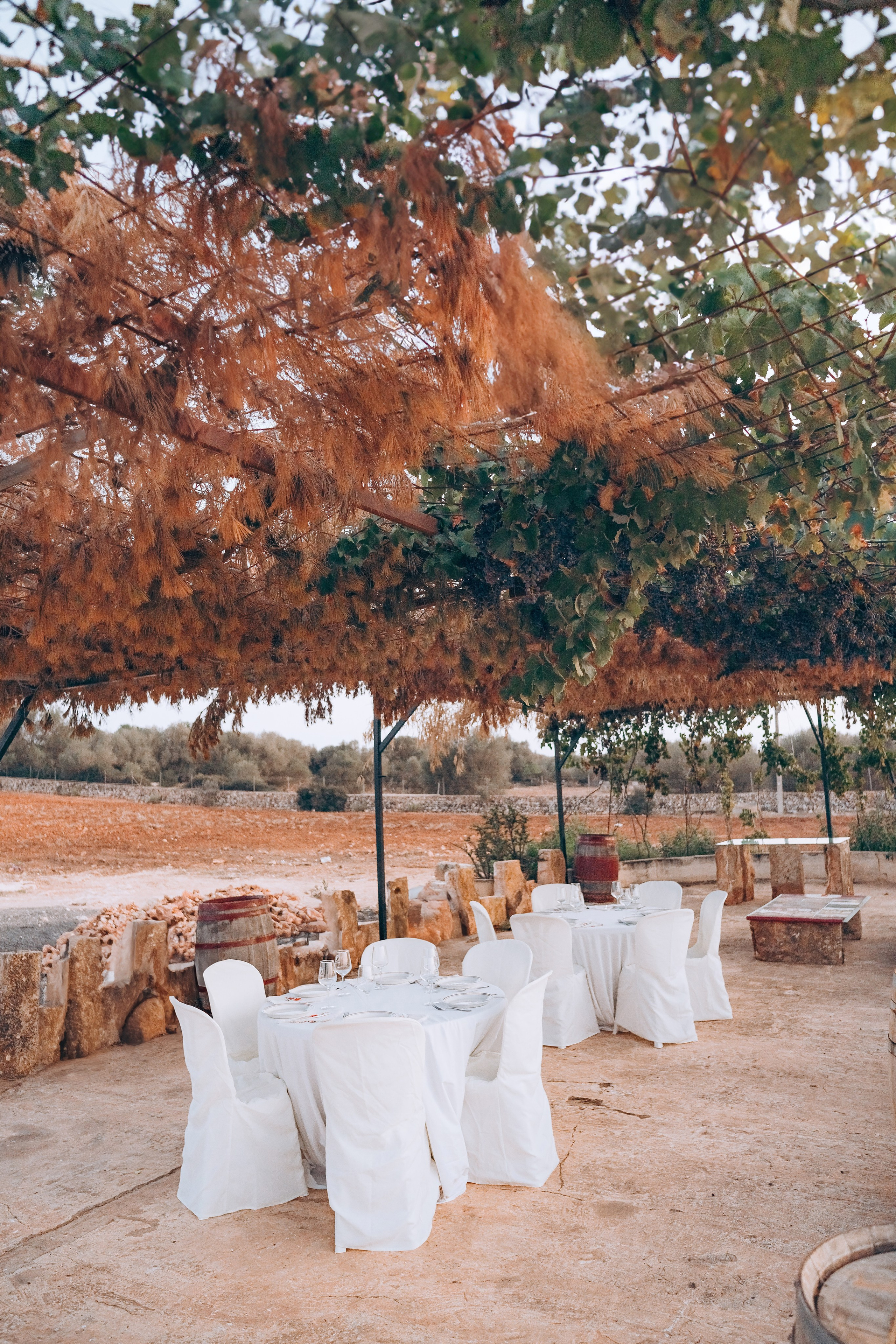 Bodega. Photographer in Mallorca