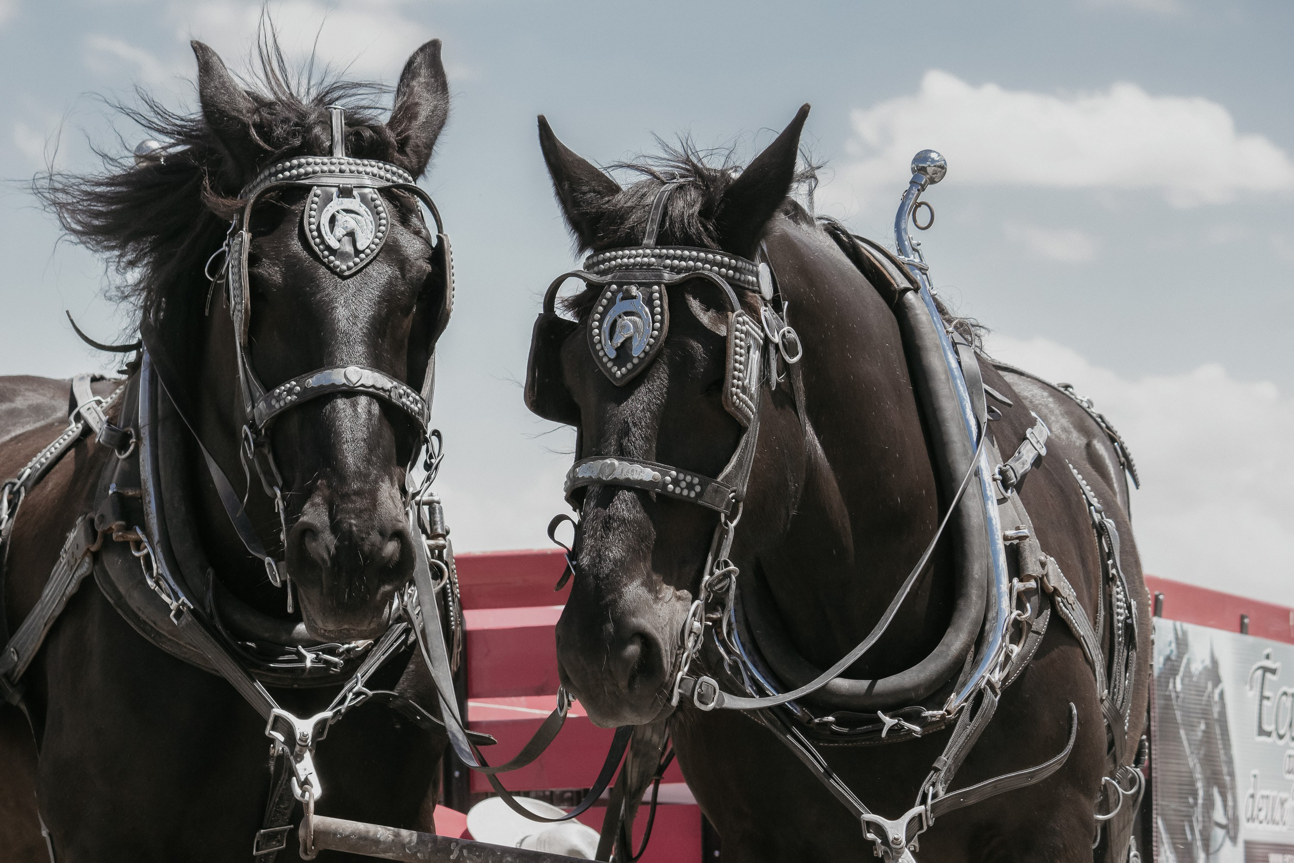 Event. I am a portrait and family photographer Jenny in Montreal and Calgary