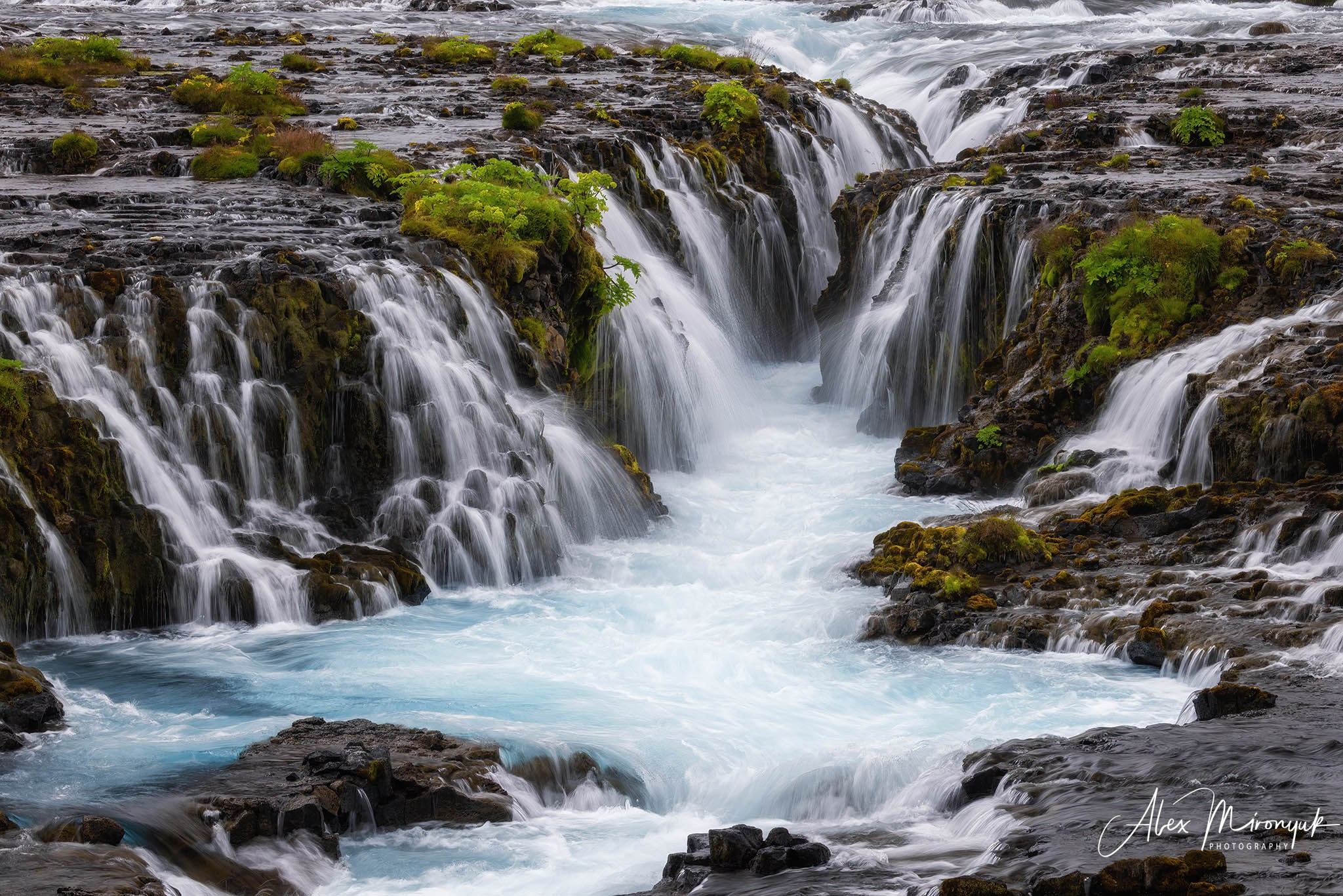 Unforgettable Iceland. Pet, Senior, Landscape, portrait studio, photographer in Miami and Sou