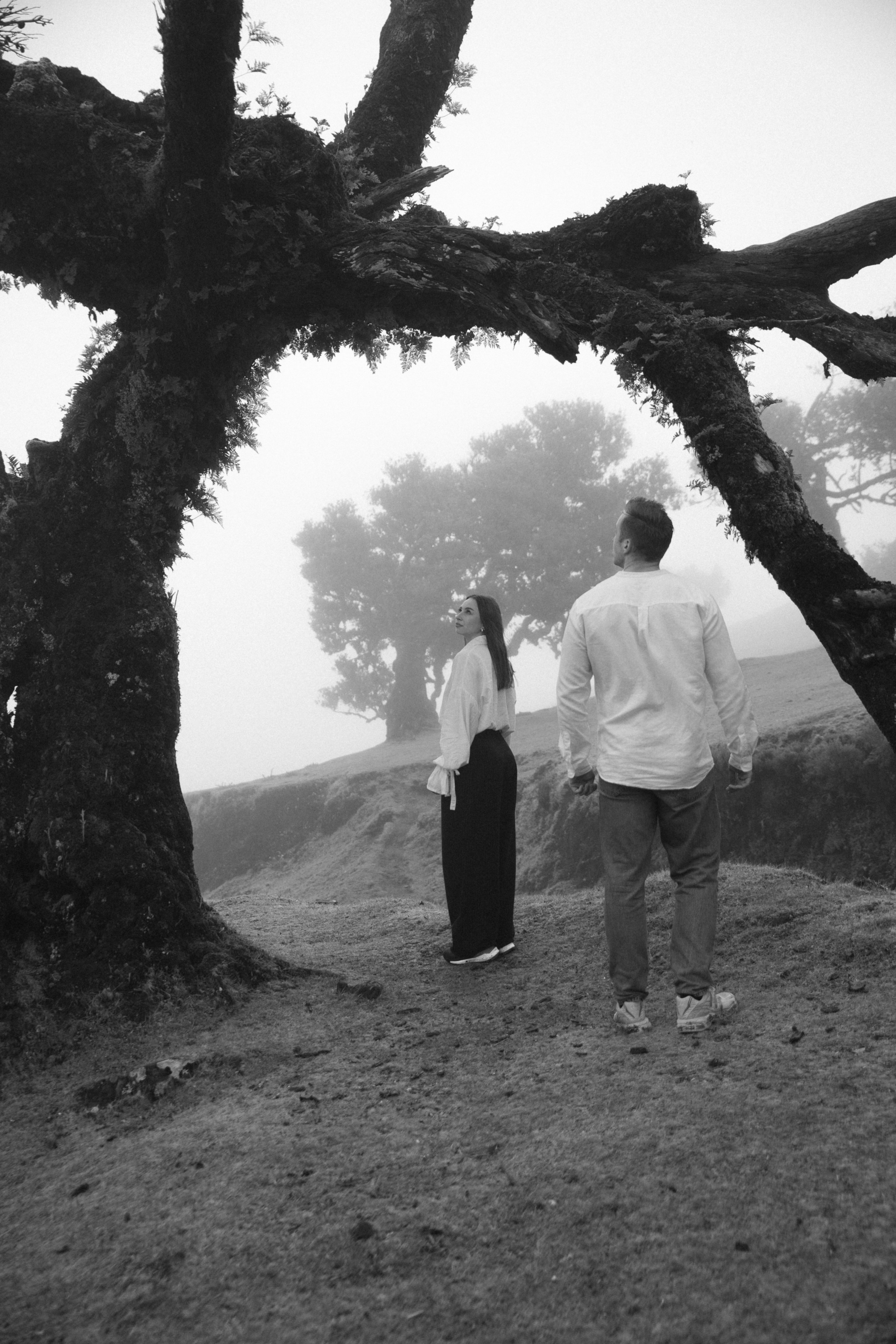 Magic of Fanal Forest. Wedding photographer and videographer based in Timisoara, Romania