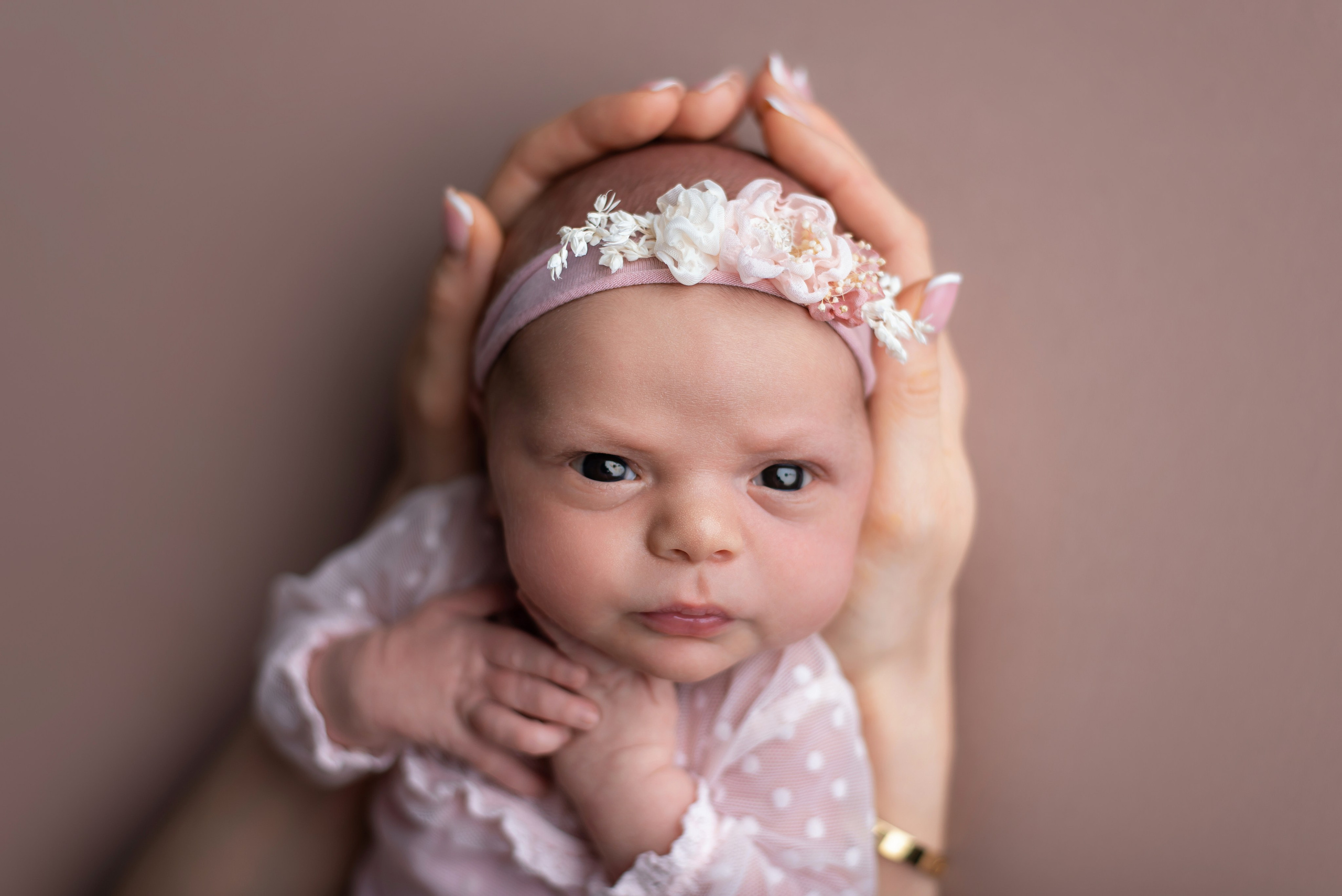 Newborn gallery. In-home newborn photography Raleigh & area Katya Kulikova