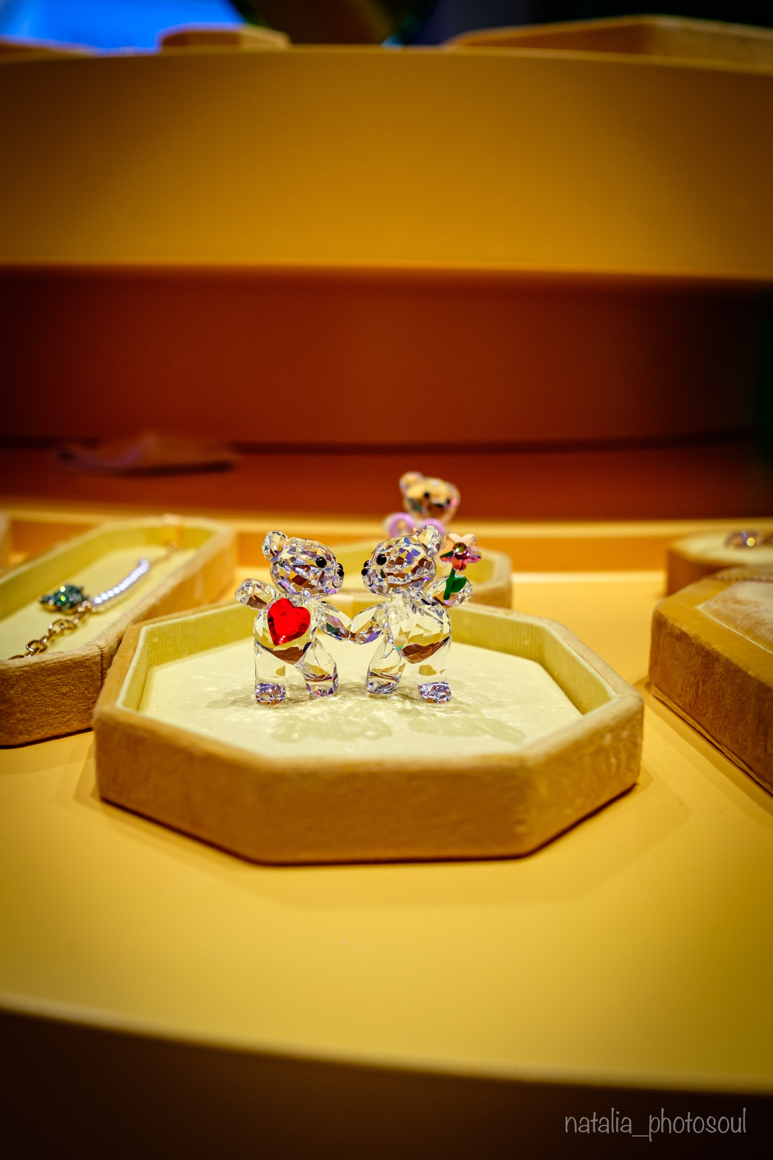 SWAROVSKI MASTERS OF LIGHT FROM VIENNA TO SEOUL. Photographer in Seoul Dobrokvashina Natalya