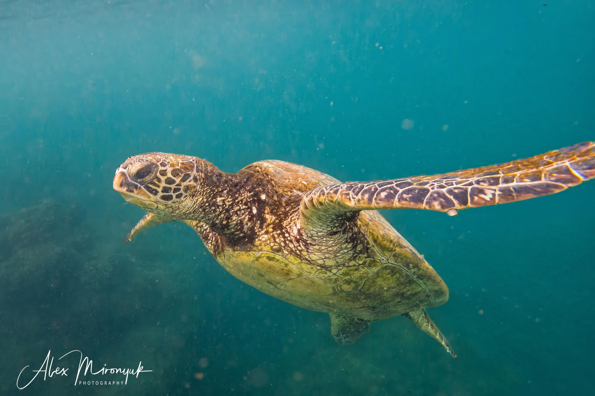 Kauai Photo Workshop
