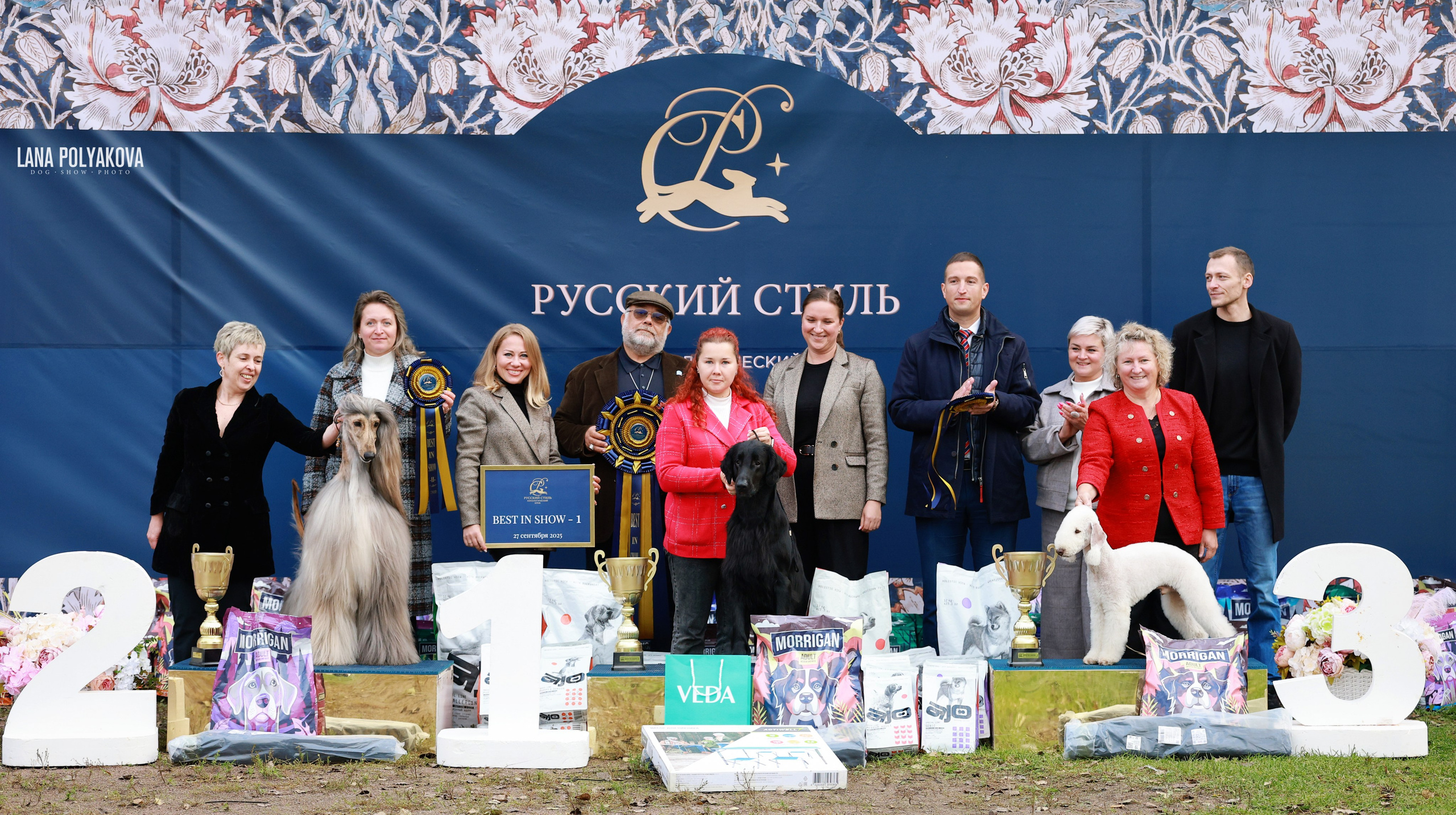 10-11.02.2024 ВЫСТАВКА СОБАК ВСЕХ ПОРОД (САС, ЧФ). Кинологический клуб РКФ РФСС СЕНСАЦИЯ