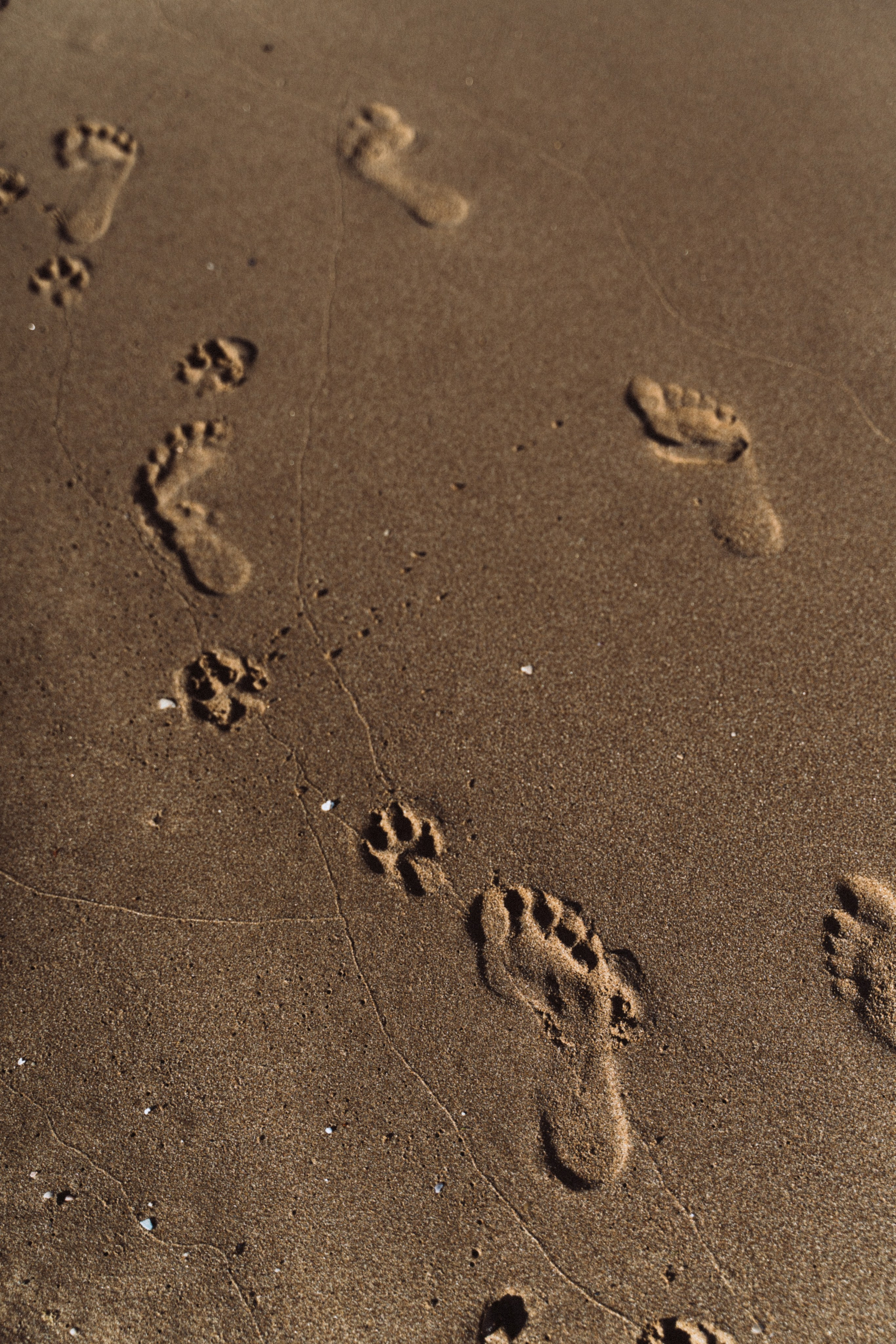 Lovestory фотосессия для пары в Стамбуле. Aesthetic & Lifestyle photographer in Da Nang, Vietnam