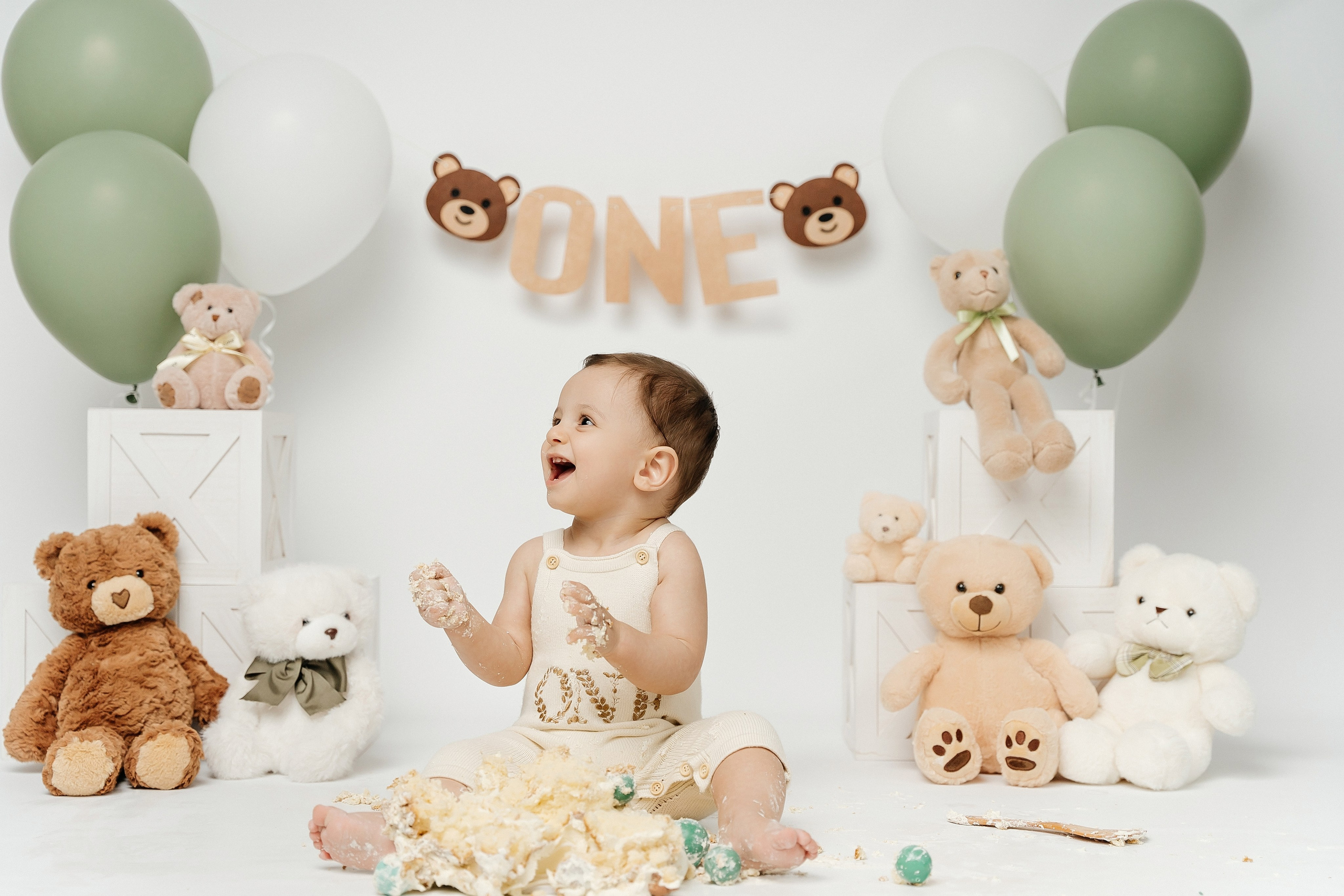 Teddy Bear One Year Cake Smash Photos. Newborn and family photographer. Hills District. Sydney