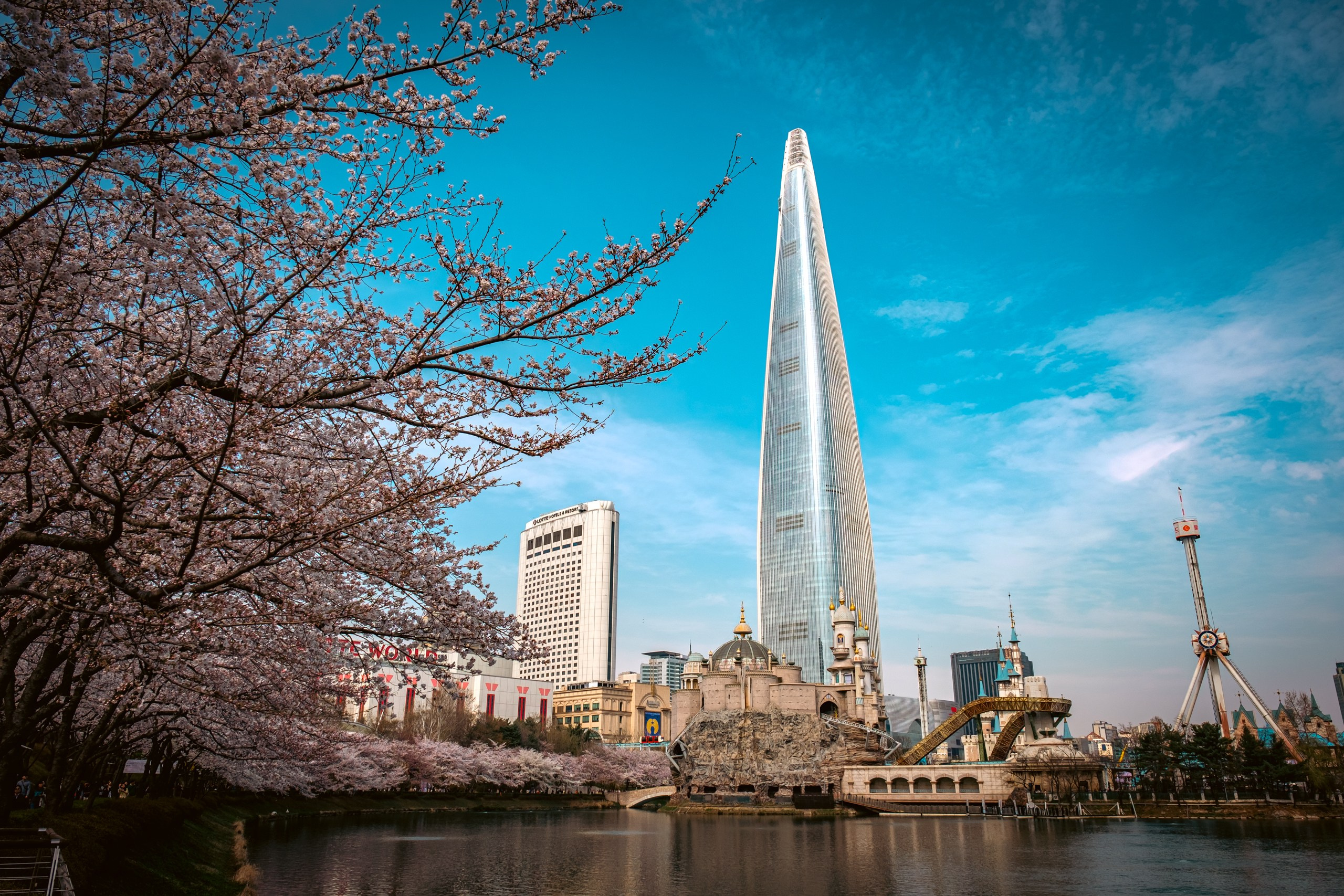 Seoul: cherry blossom. Photographer in Seoul Dobrokvashina Natalya