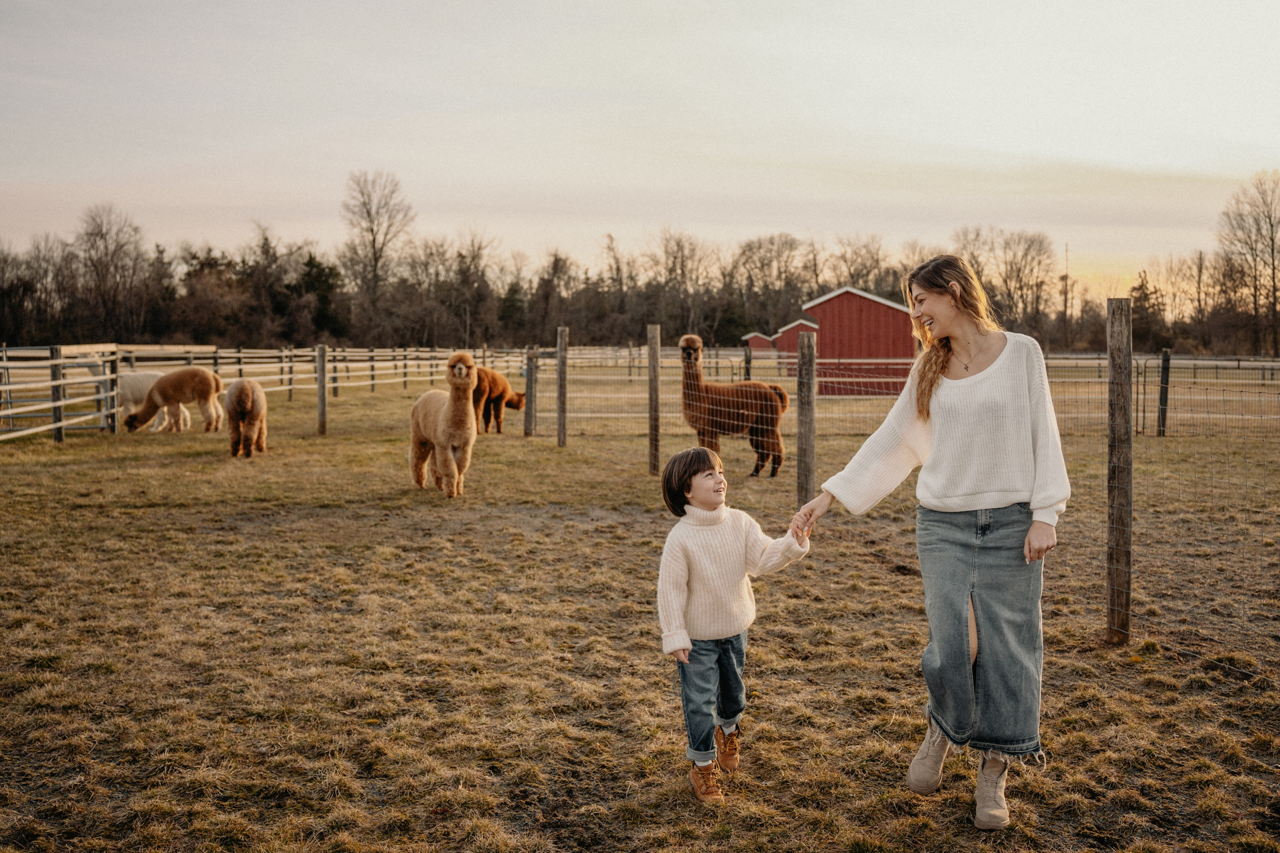 Unique Family Photography at an Alpaca Farm – Fun & Playful. Alisa Tant — Family and newborn photographer Bucks County, Montgomery county, Philadelphia, NJ